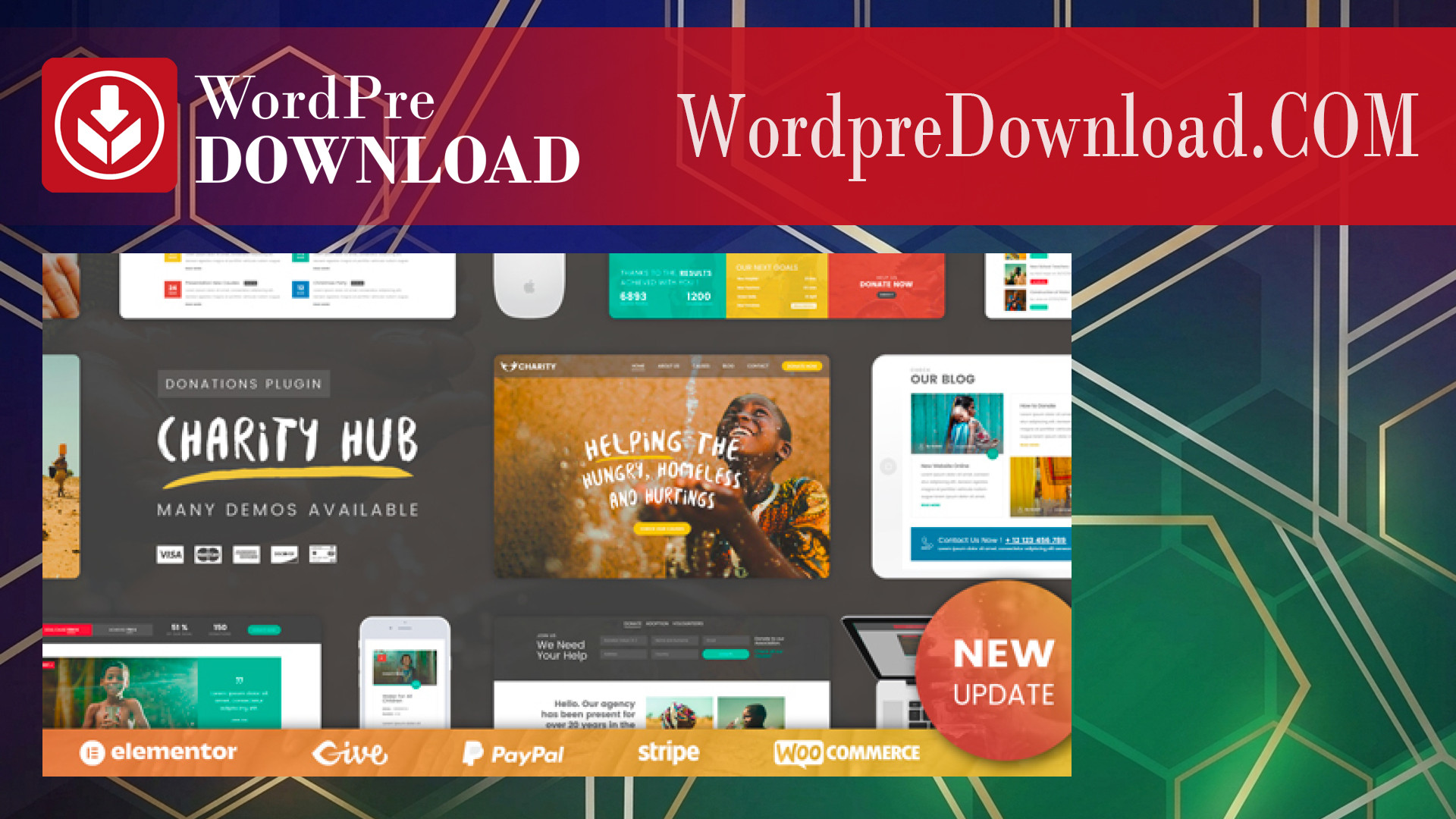Charity Foundation – Charity Hub WP Theme – WordpreDownload.COM