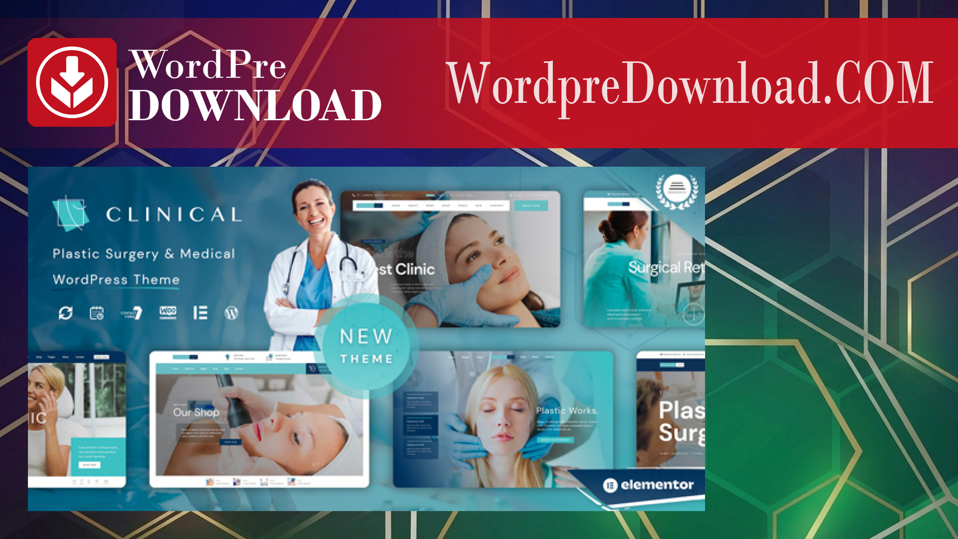 Clinical Plastic Surgery Theme – WordpreDownload.COM