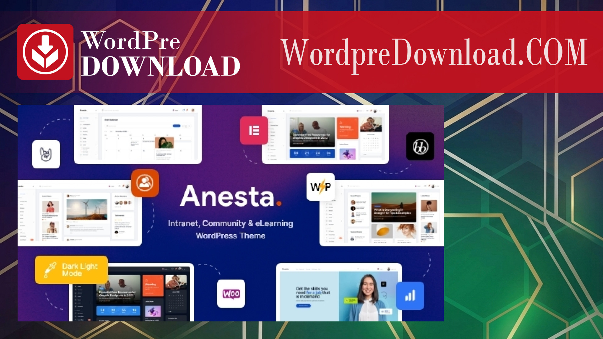 Anesta – Intranet, Extranet, Community and BuddyPress WordPress Theme – WordpreDownload.COM