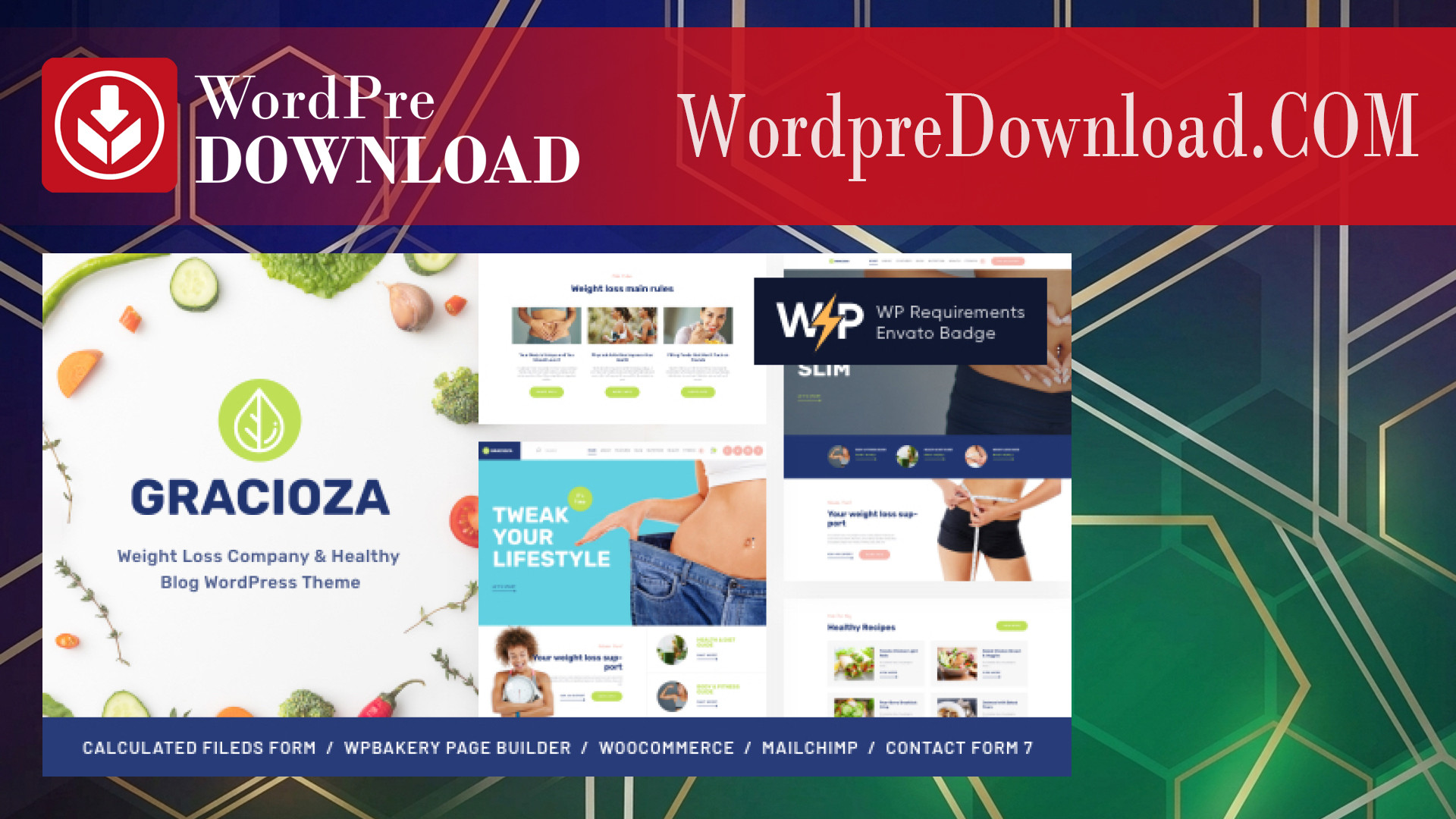 Gracioza | Weight Loss Company and Healthy Blog WordPress Theme – WordpreDownload.COM