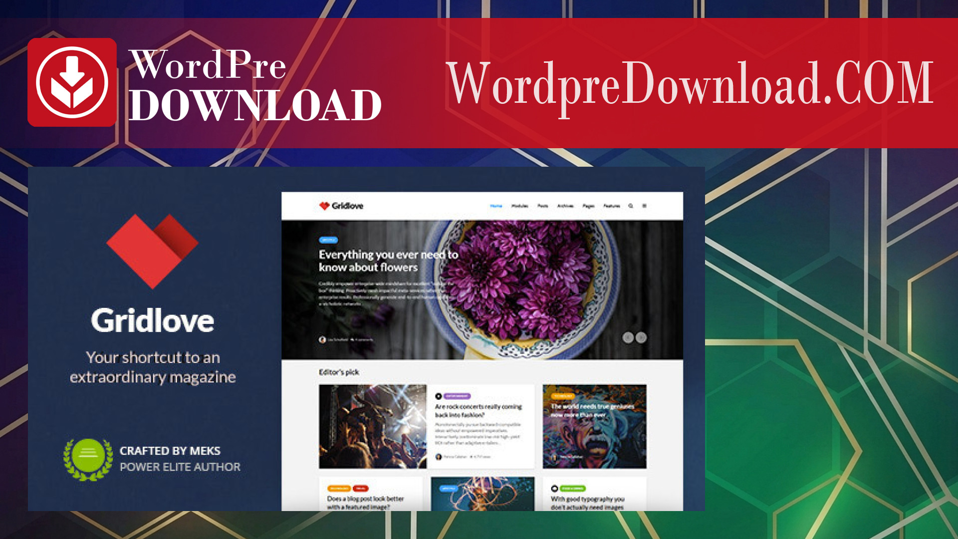Gridlove – Creative Grid Style News Magazine WordPress Theme – WordpreDownload.COM