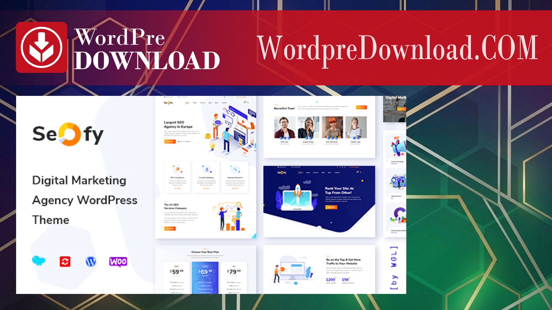 Seofy – SEO & Digital Marketing Agency WordPress Theme – WordpreDownload.COM