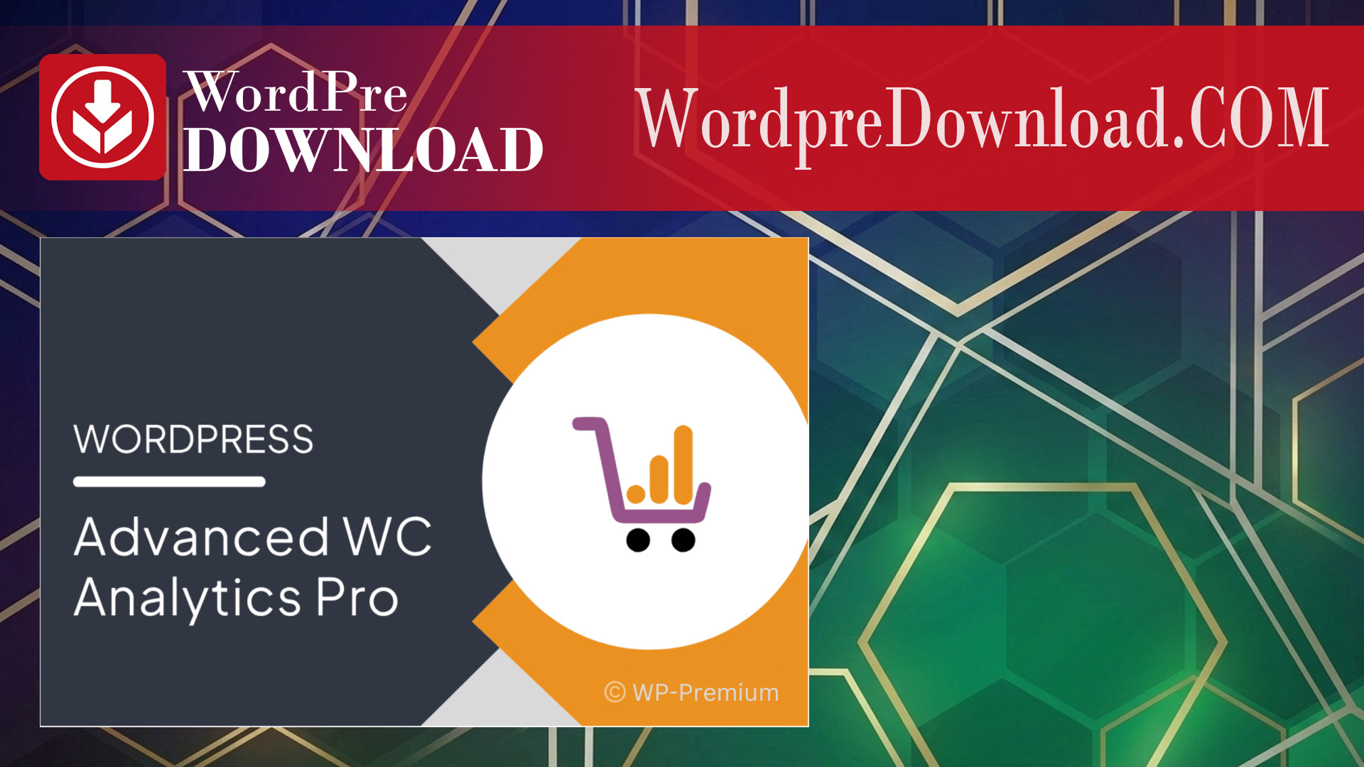 Advanced WC Analytics Pro – WordpreDownload.COM