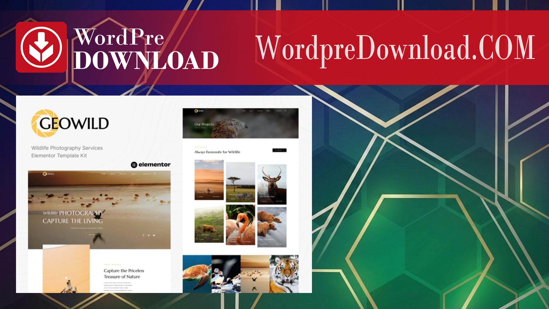 Geowild – Wildlife Photography Services Elementor Template Kit – WordpreDownload.COM