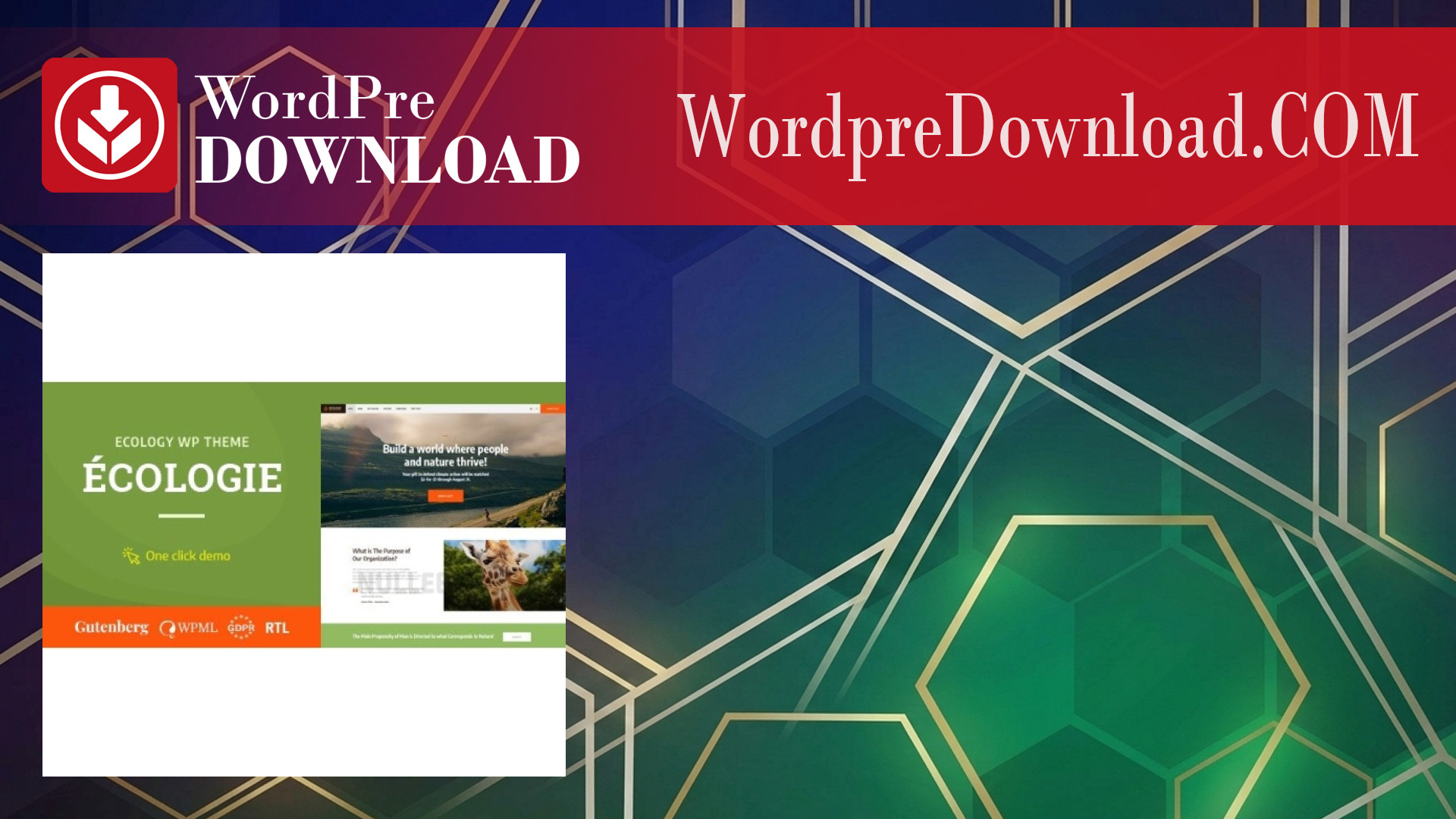 Ecologie Environmental and Ecology WordPress Theme – WordpreDownload.COM