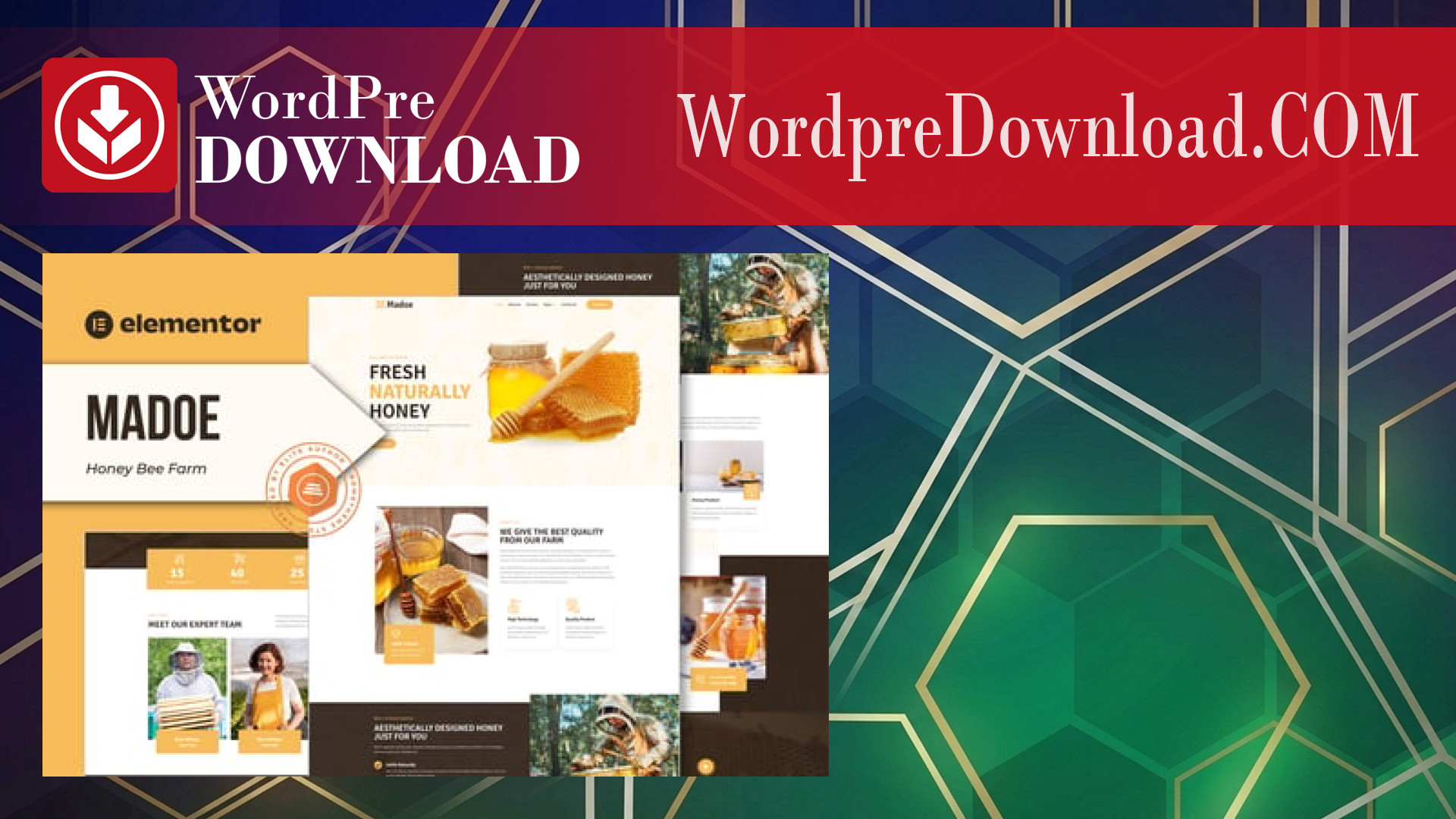 Madoe – Honey Bee Farm Elementor Template Kit – WordpreDownload.COM