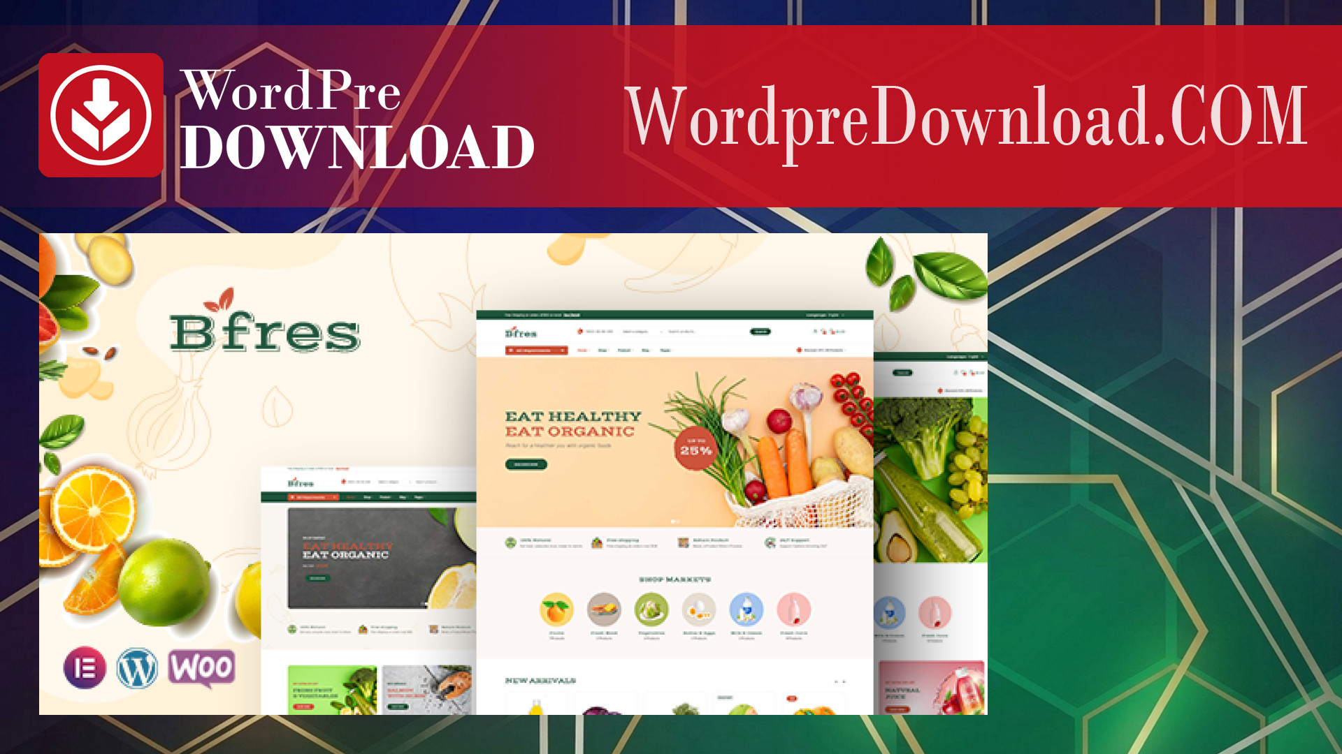 Bfres – Organic Food WooCommerce Theme – WordpreDownload.COM