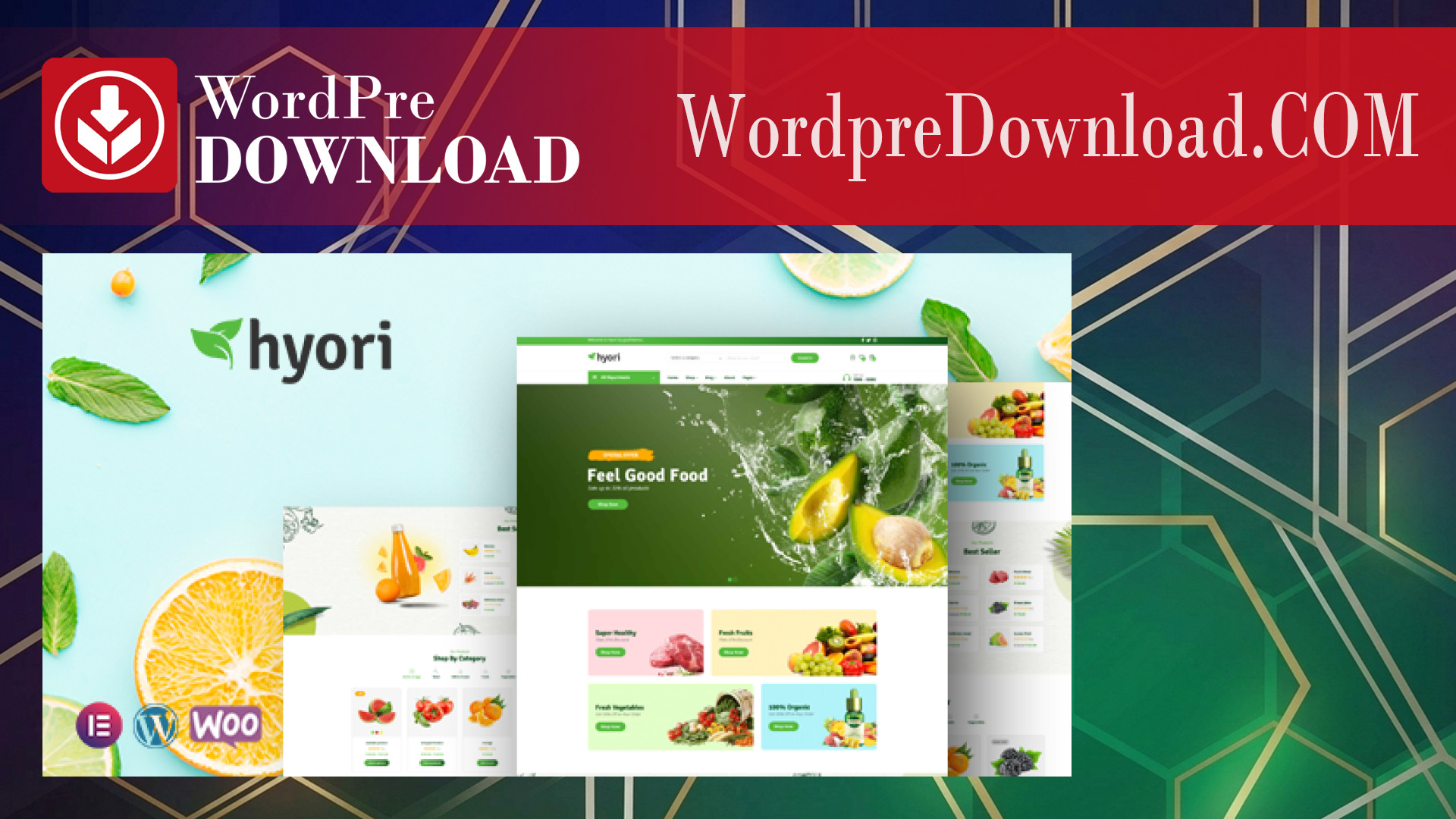 Hyori – Organic Food WooCommerce Theme – WordpreDownload.COM