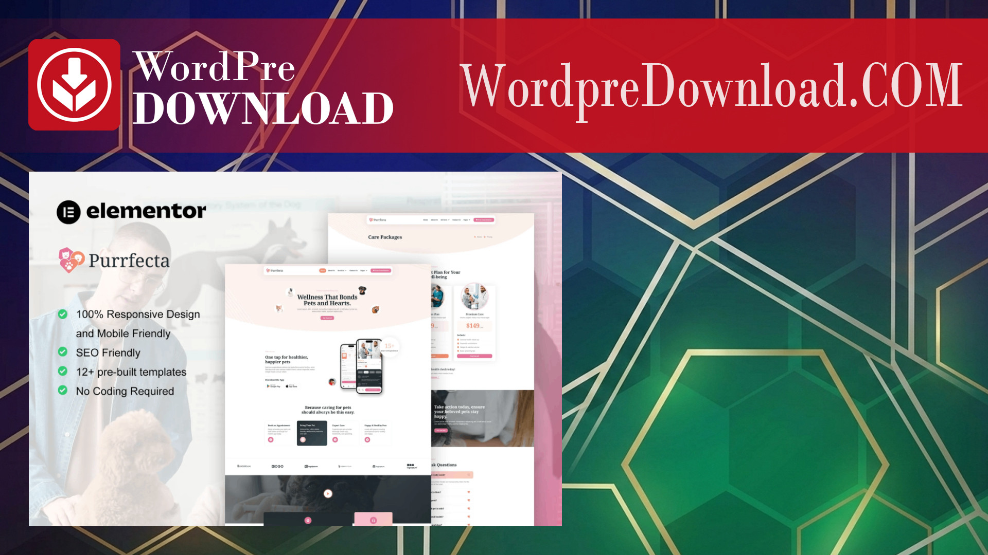 Purrfecta – Veterinary and Pet Care Elementor Pro Template Kit – WordpreDownload.COM
