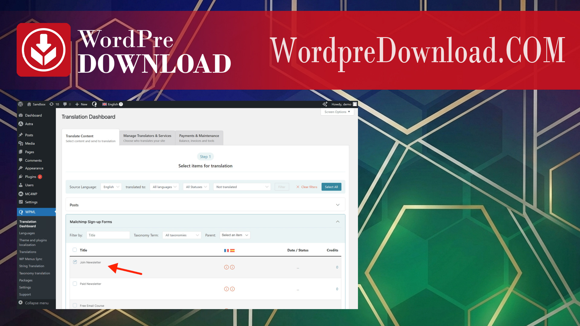 WordPress Multilingual MailChimp – WordpreDownload.COM