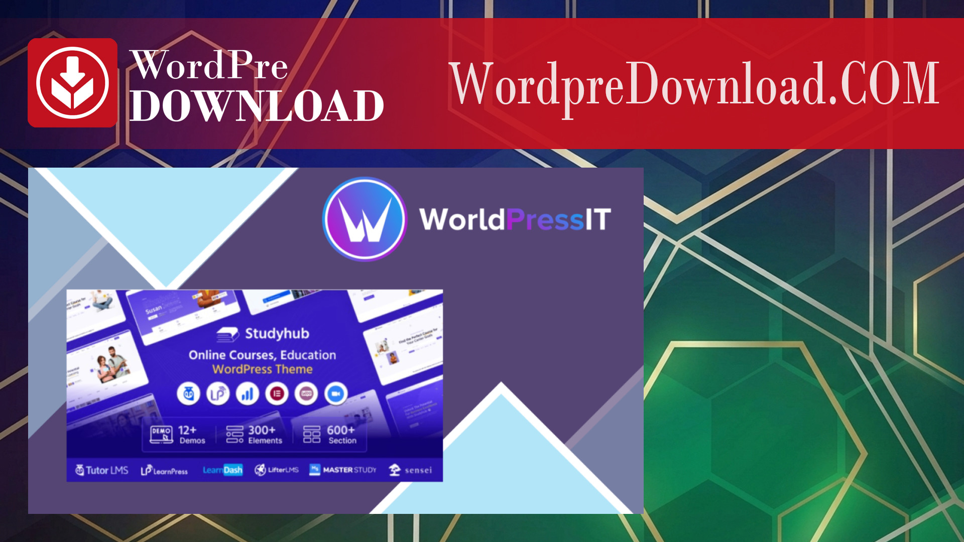 Studyhub – Education WordPress Theme – WordpreDownload.COM