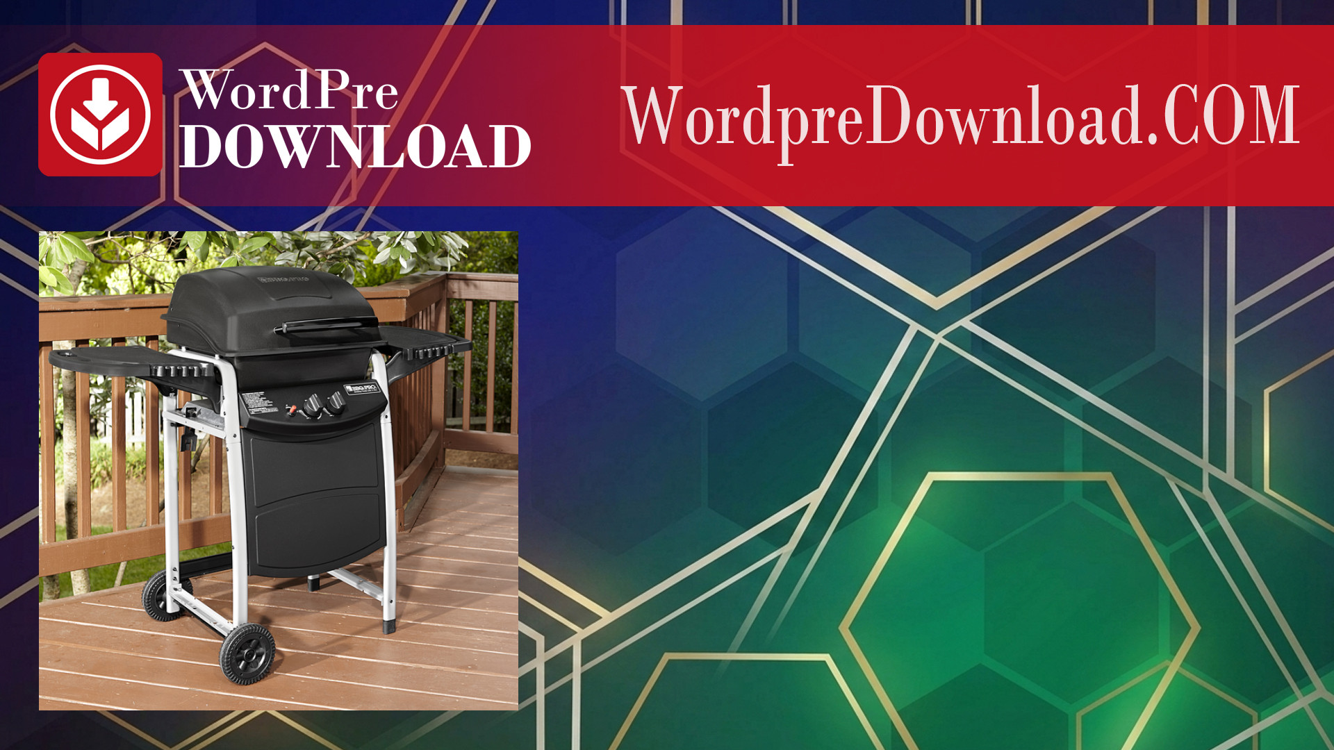 BBQ Pro – WordpreDownload.COM
