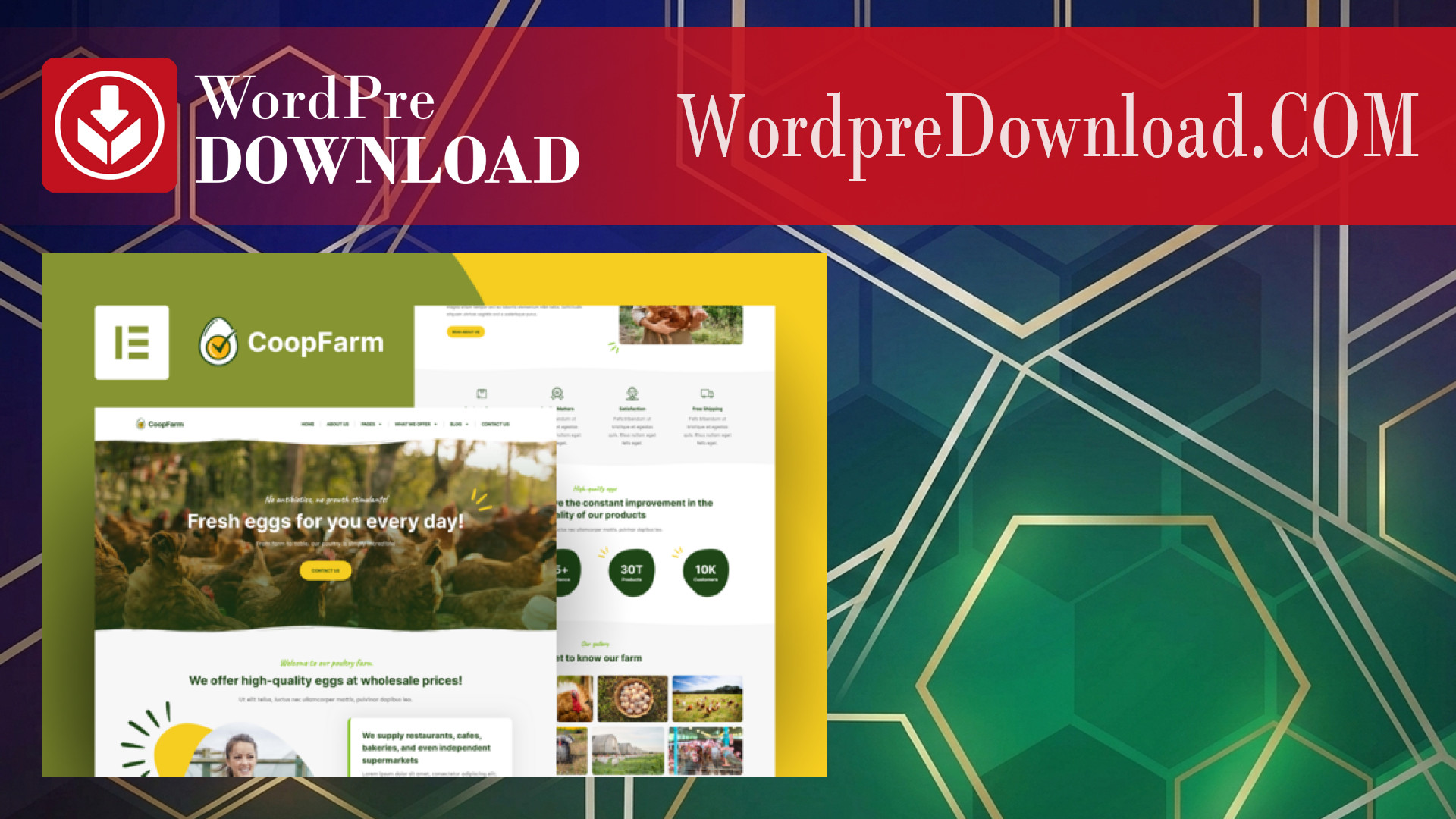 CoopFarm – Poultry Farm Elementor Pro Template Kit – WordpreDownload.COM