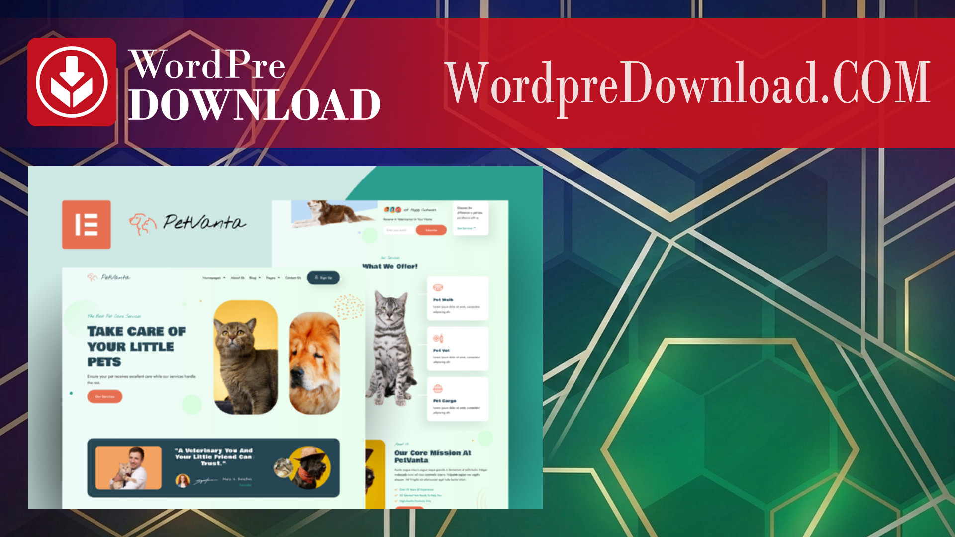 Petvanta – Pet Care Services Elementor Template Kit – WordpreDownload.COM