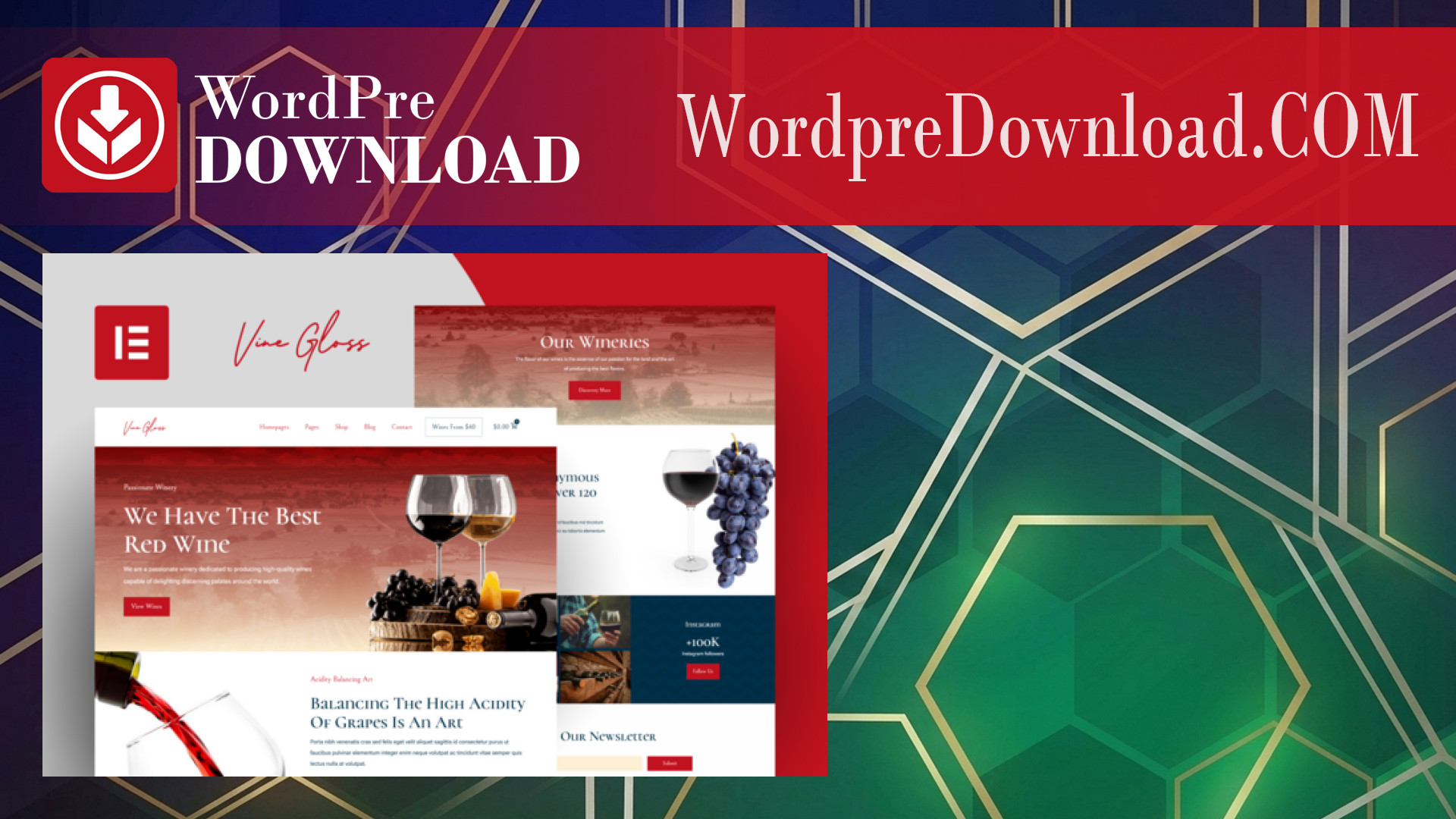 Vine Gloss – Wine Shop and Vineyard Template Kit – Wordpredownload.com