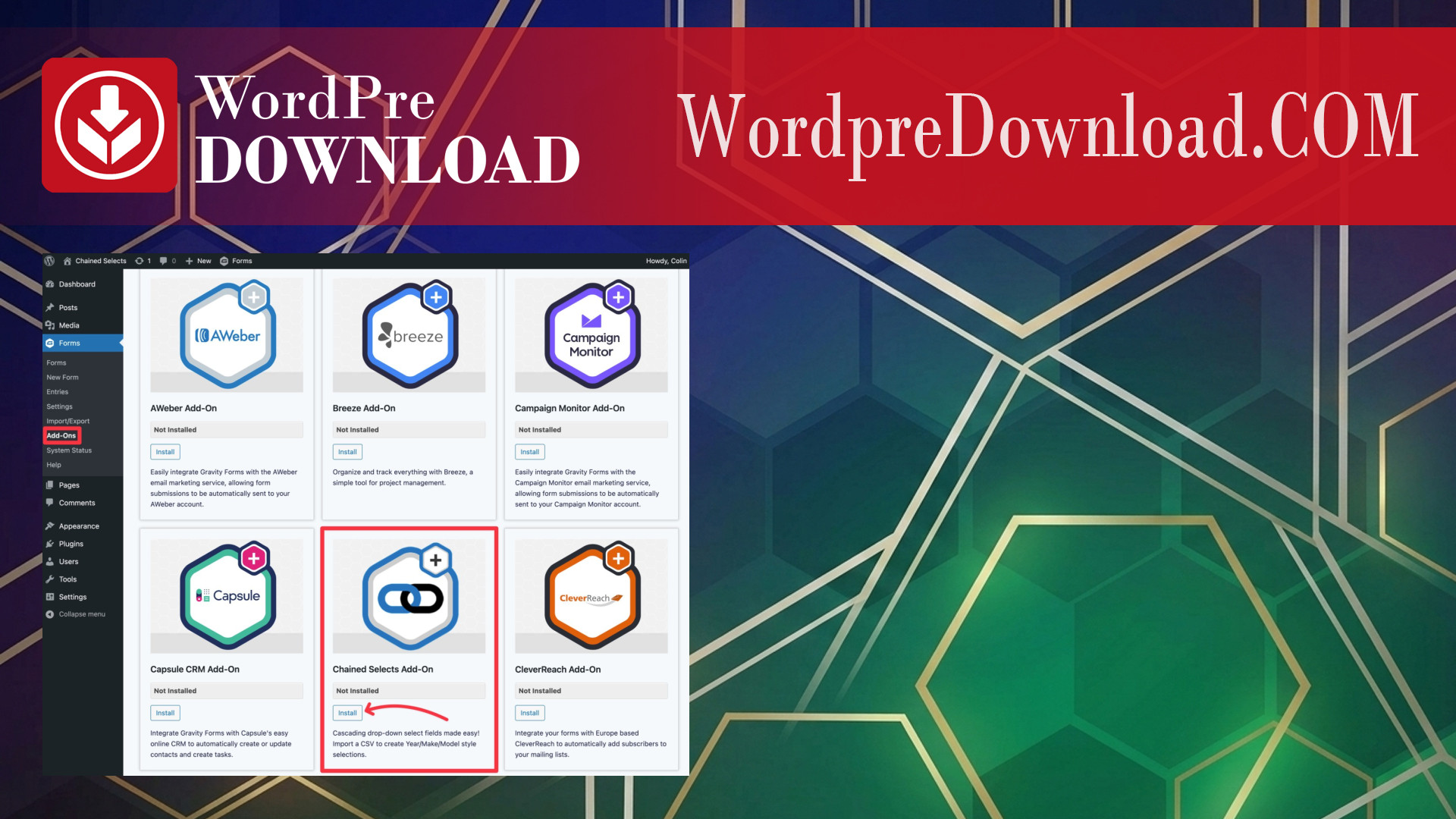 Gravity Forms Chained Selects – WordpreDownload.COM