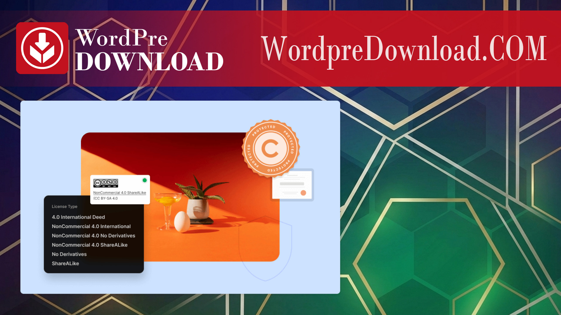 Envira Gallery – Image Licensing – WordpreDownload.COM