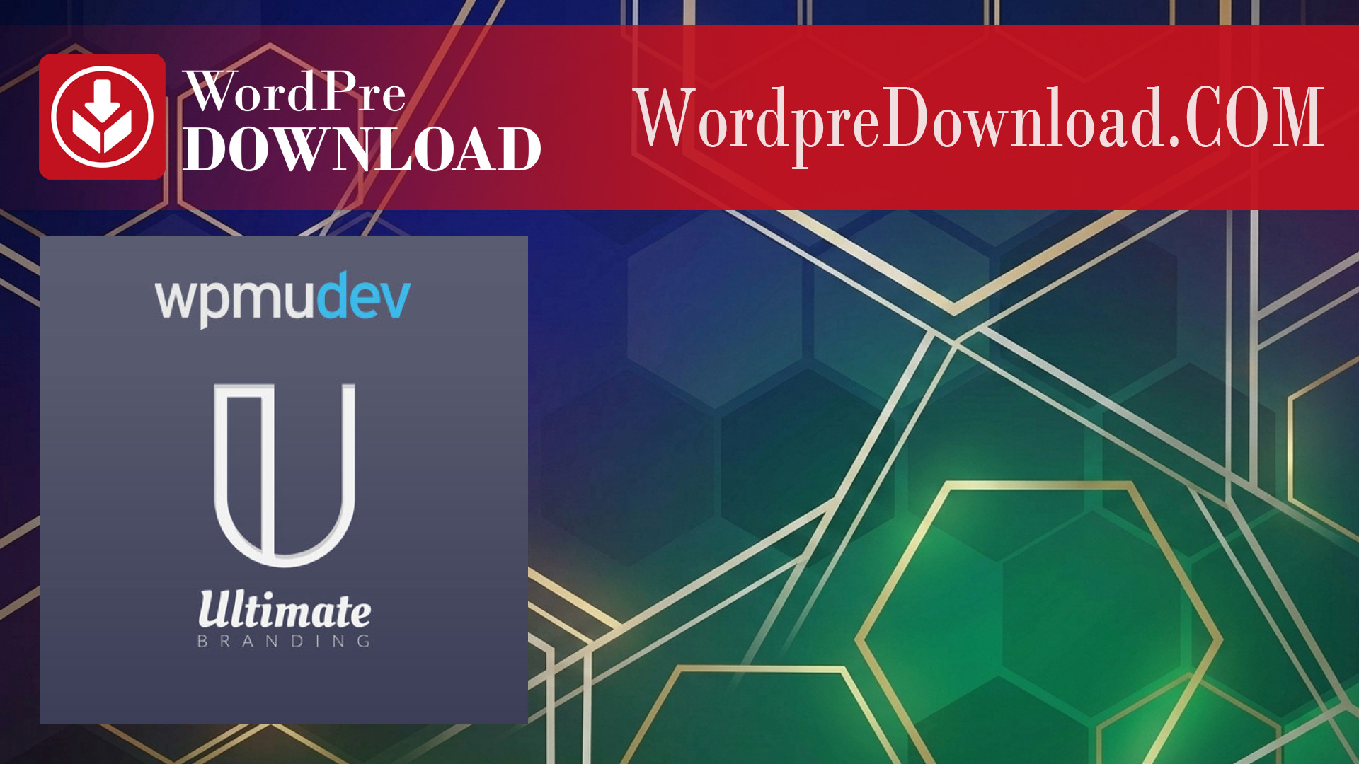 WPMU DEV Ultimate Branding – WordpreDownload.COM