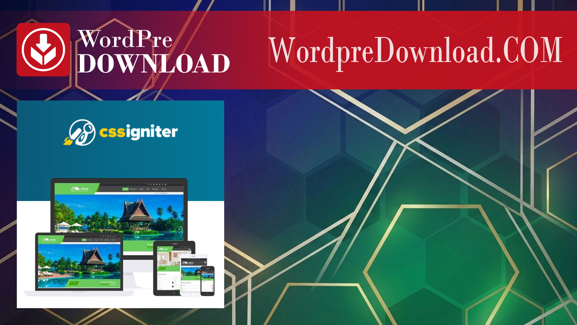 CSS Igniter Oikia WordPress Theme – WordpreDownload.COM