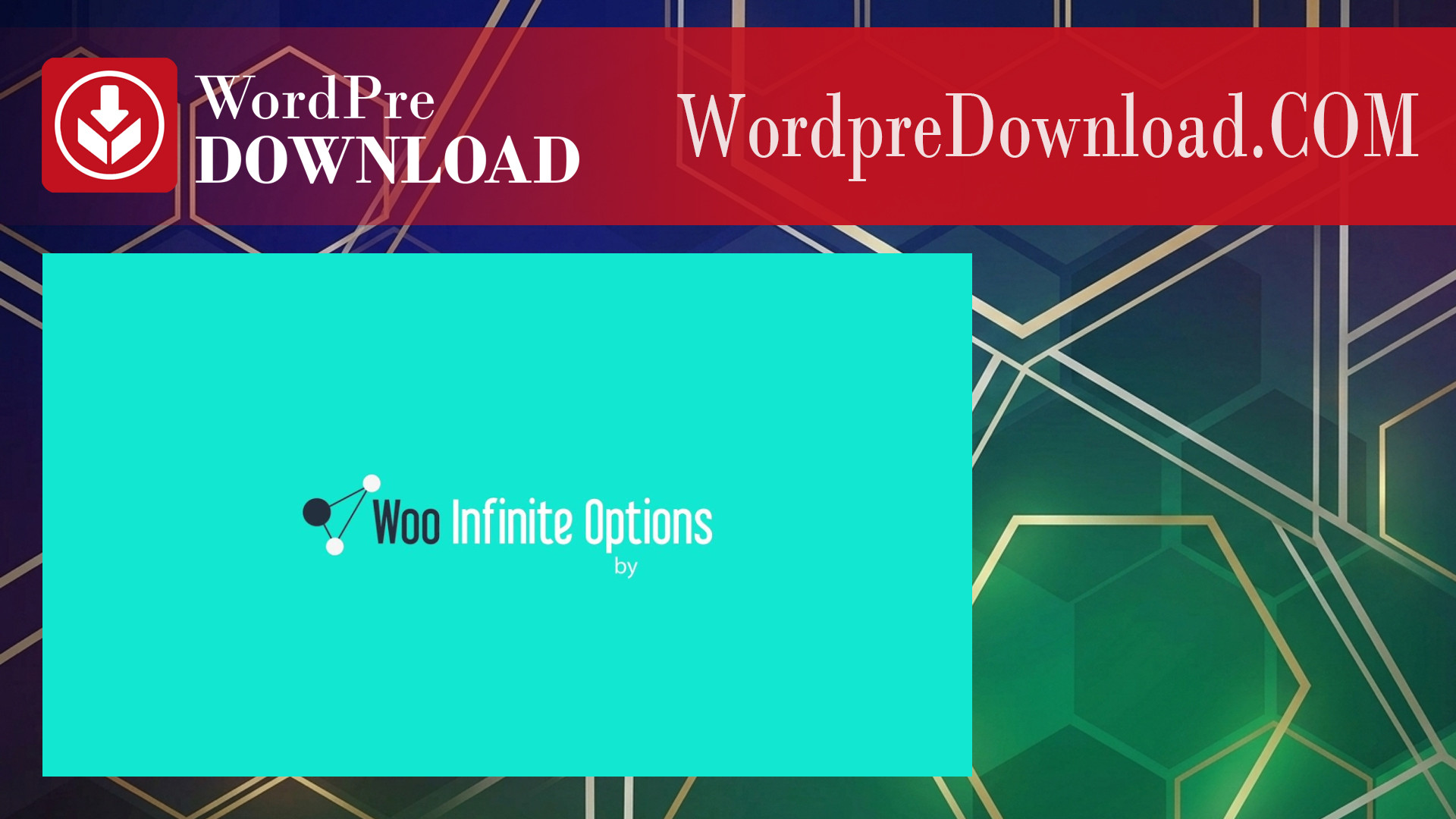 Woo Infinite Options – WordpreDownload.COM
