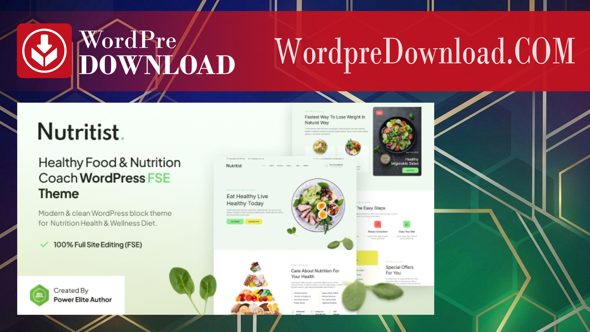 Nutritist – Healthy Food and Nutrition Coach Theme – WordpreDownload.COM
