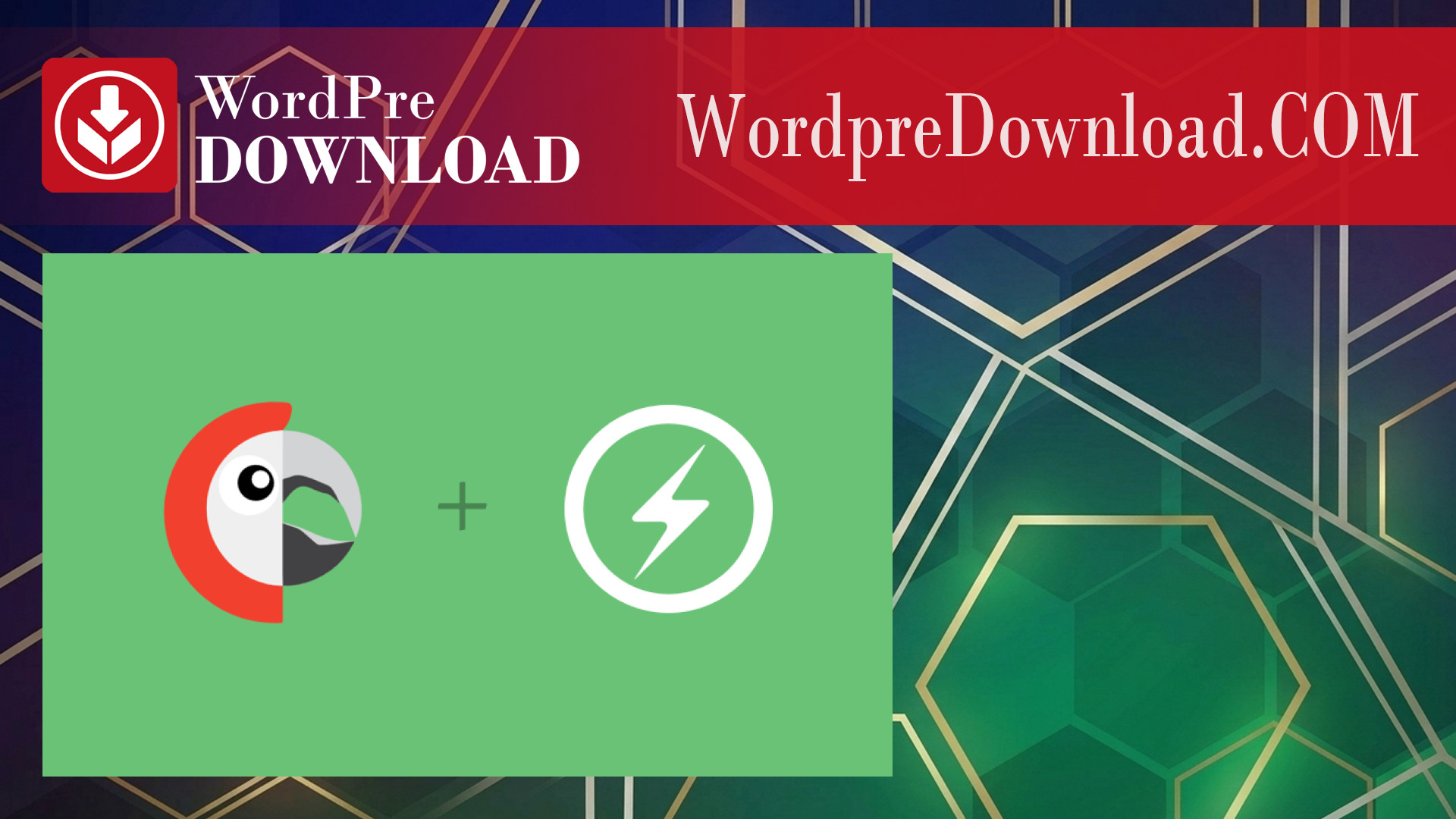 Polylang For AMP – WordpreDownload.COM
