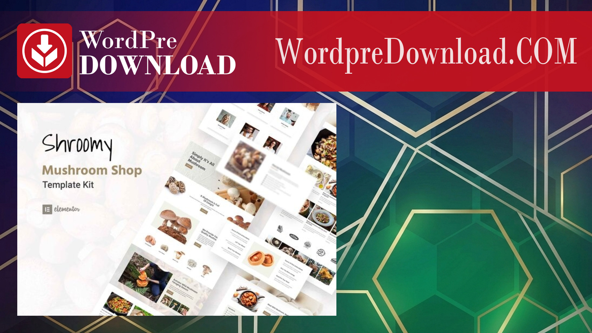 Shroomy – Mushroom Shop Elementor Template Kit – WordpreDownload.COM