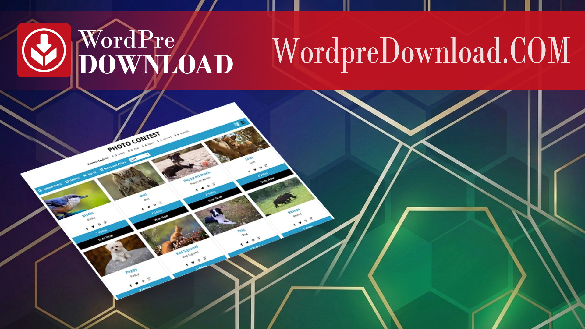 Photo Contest WordPress Plugin – WordpreDownload.COM