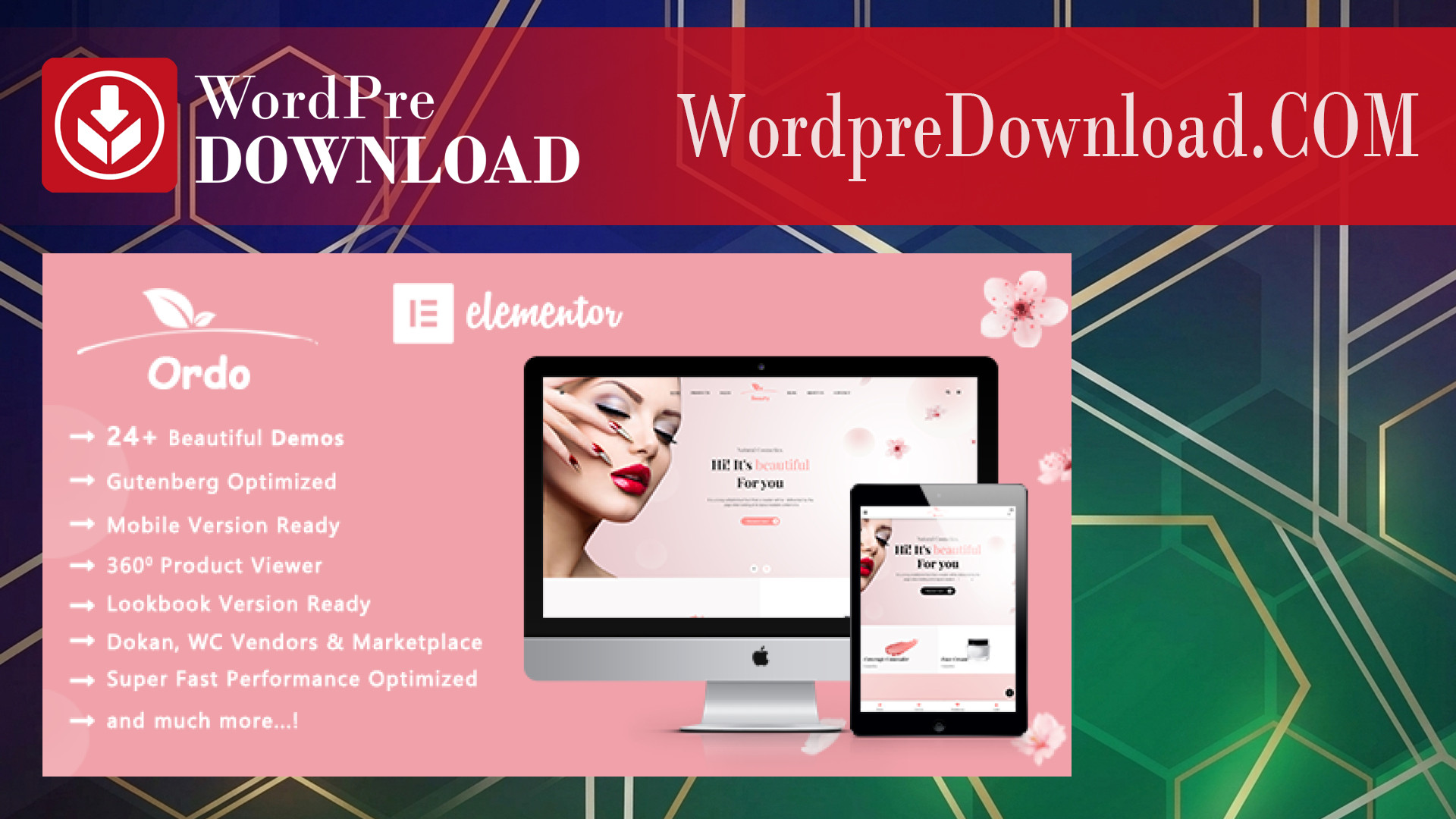 Ordo | Natural Cosmetic WooCommerce WordPress Theme – WordpreDownload.COM