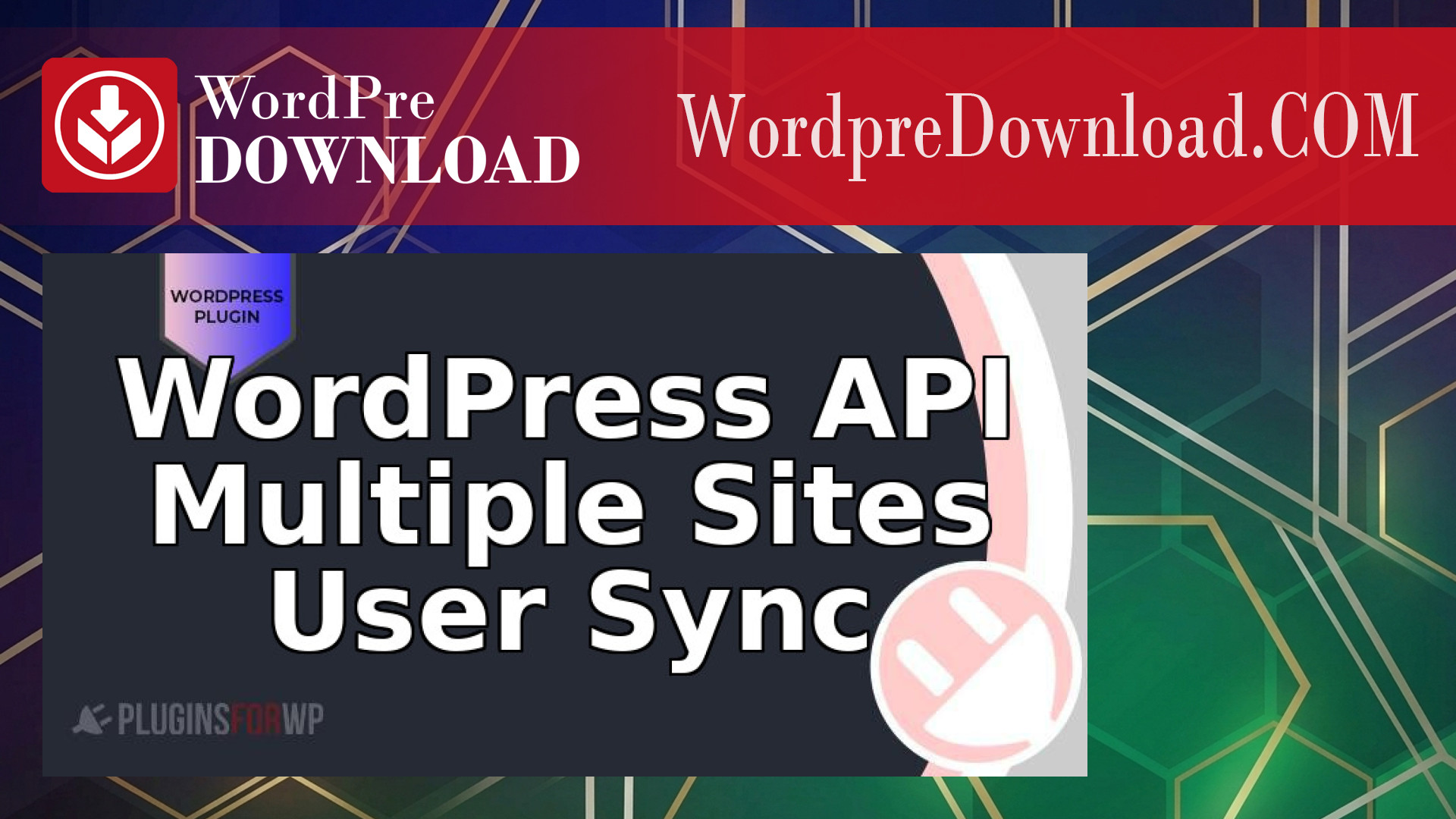 WordPress API Posts and Pages Sync with Multiple WordPress Sites – WordpreDownload.COM