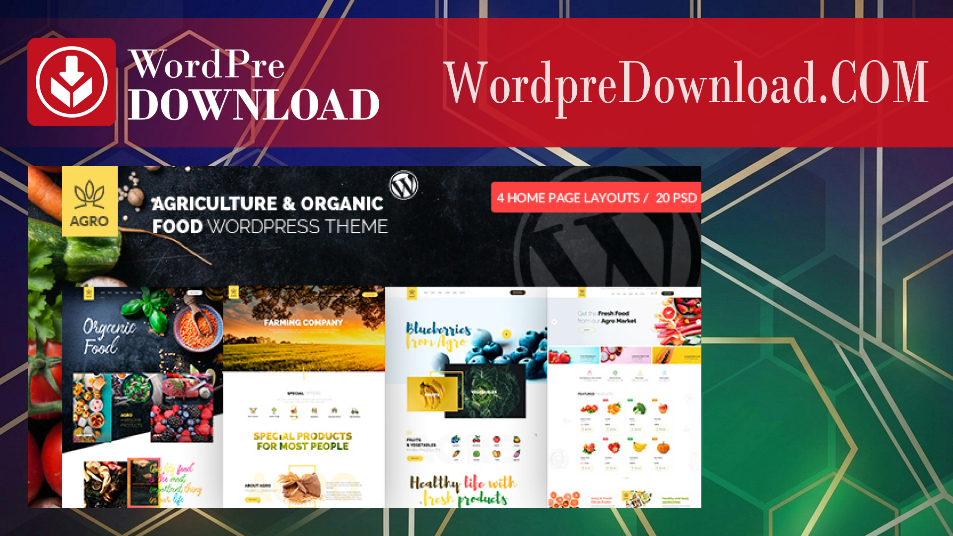 Agro Organic Food & Agriculture Theme – WordpreDownload.COM