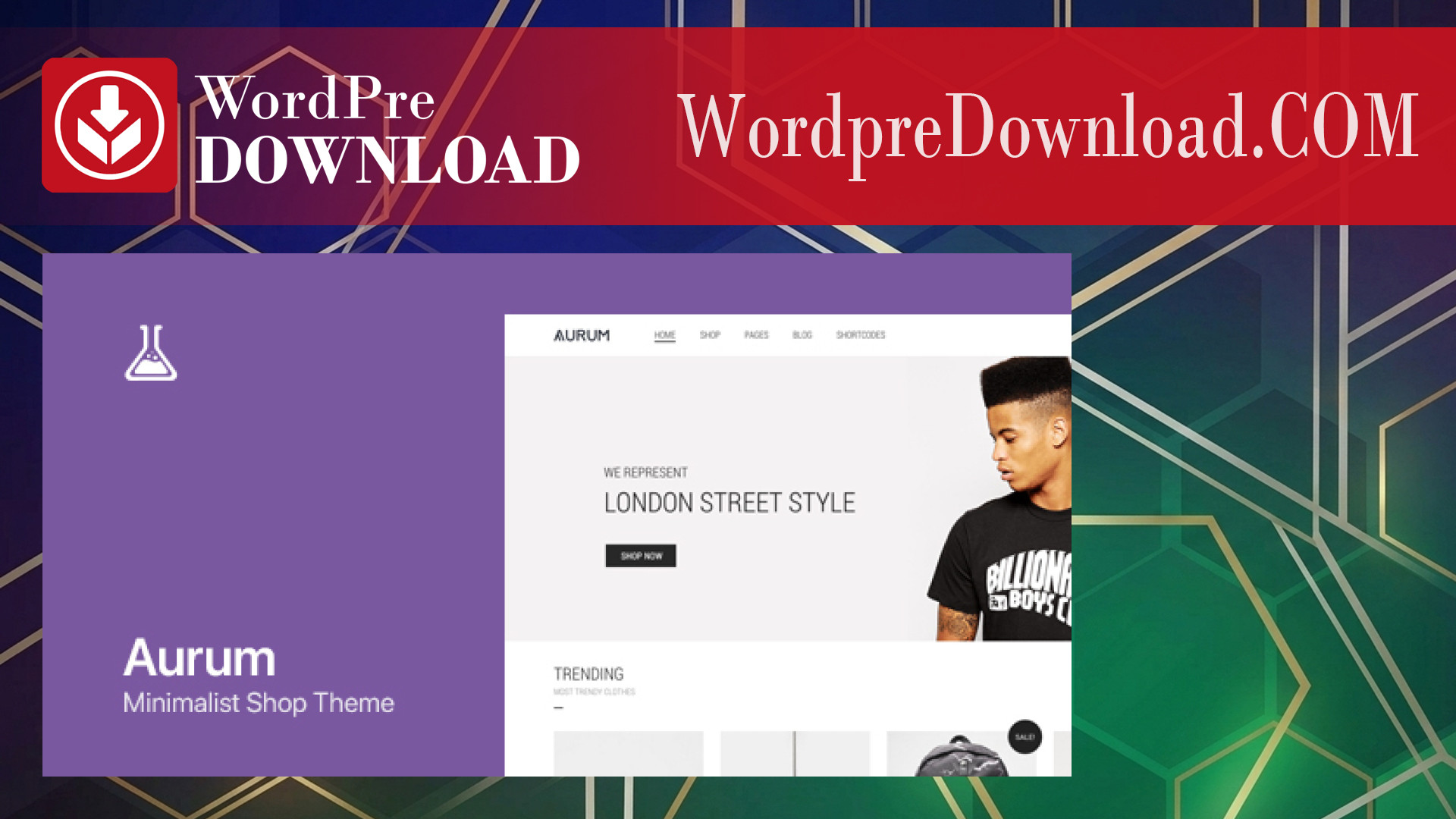 Aurum Minimalist Shopping Theme – WordpreDownload.COM