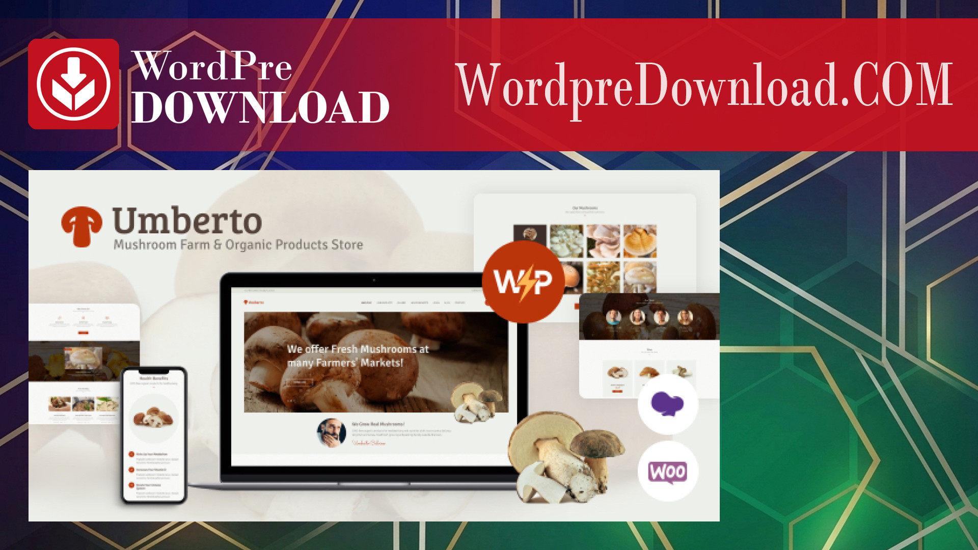 Umberto – Mushroom Farm and Organic Products Store WordPress Theme – WordpreDownload.COM