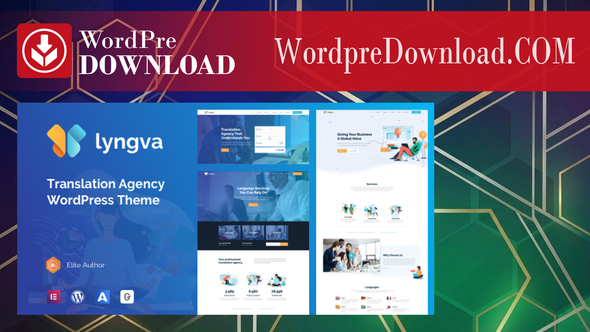 Lyngva - Translation Agency WordPress - WordpreDownload.COM
