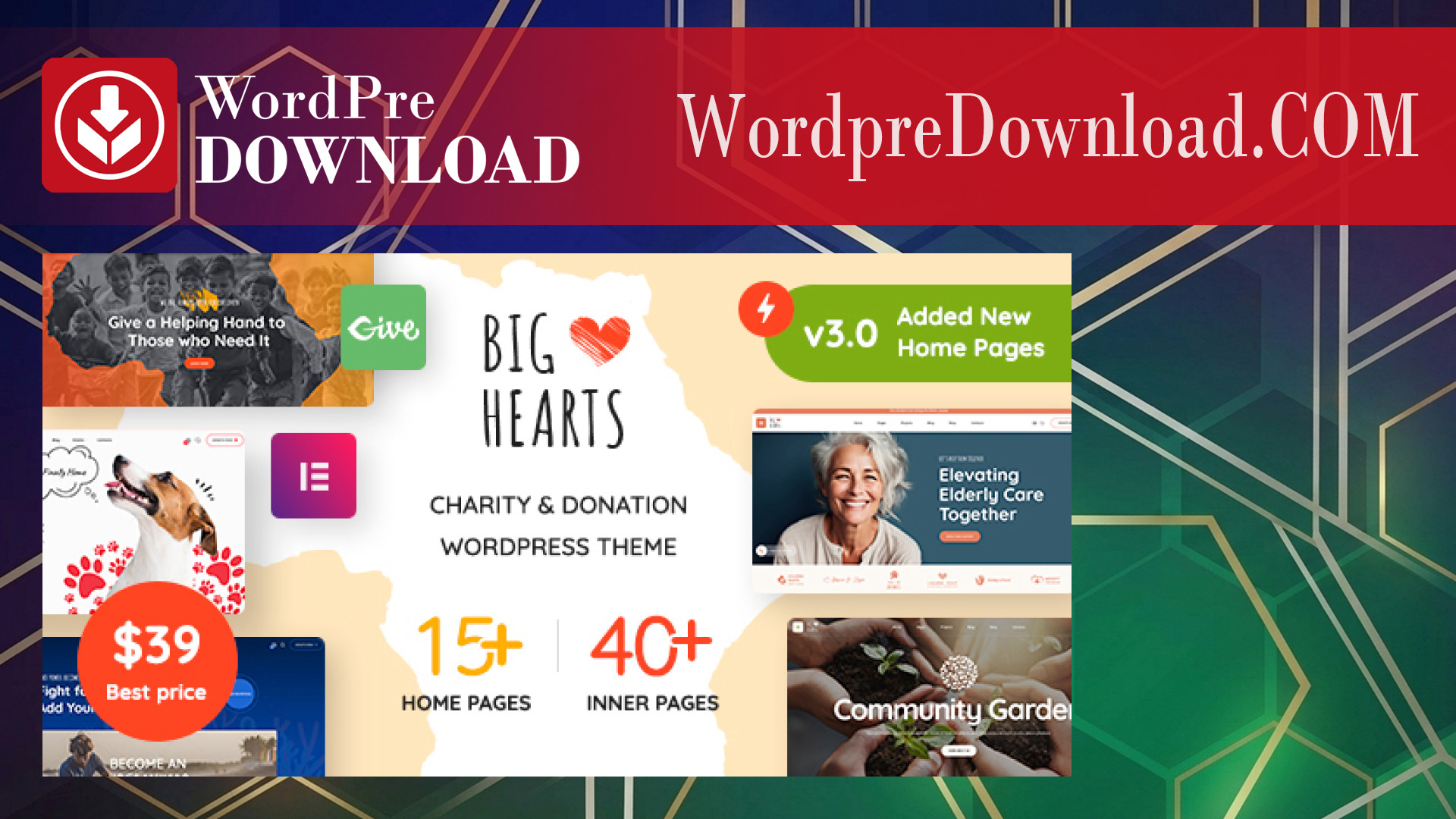BigHearts – Charity and Donation WordPress Theme – WordpreDownload.COM