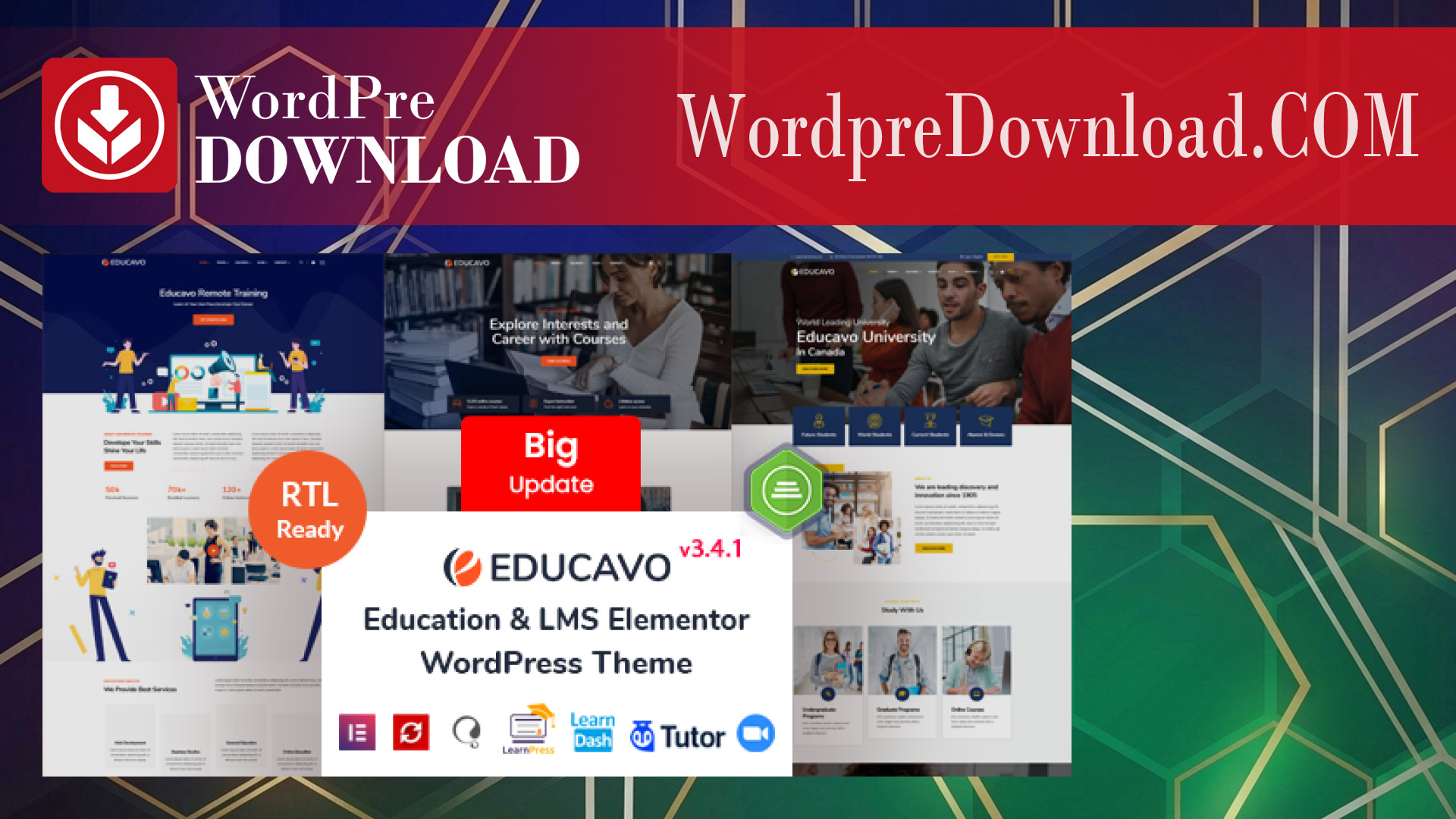 Educavo – Online Courses and Education WordPress Theme – WordpreDownload.COM