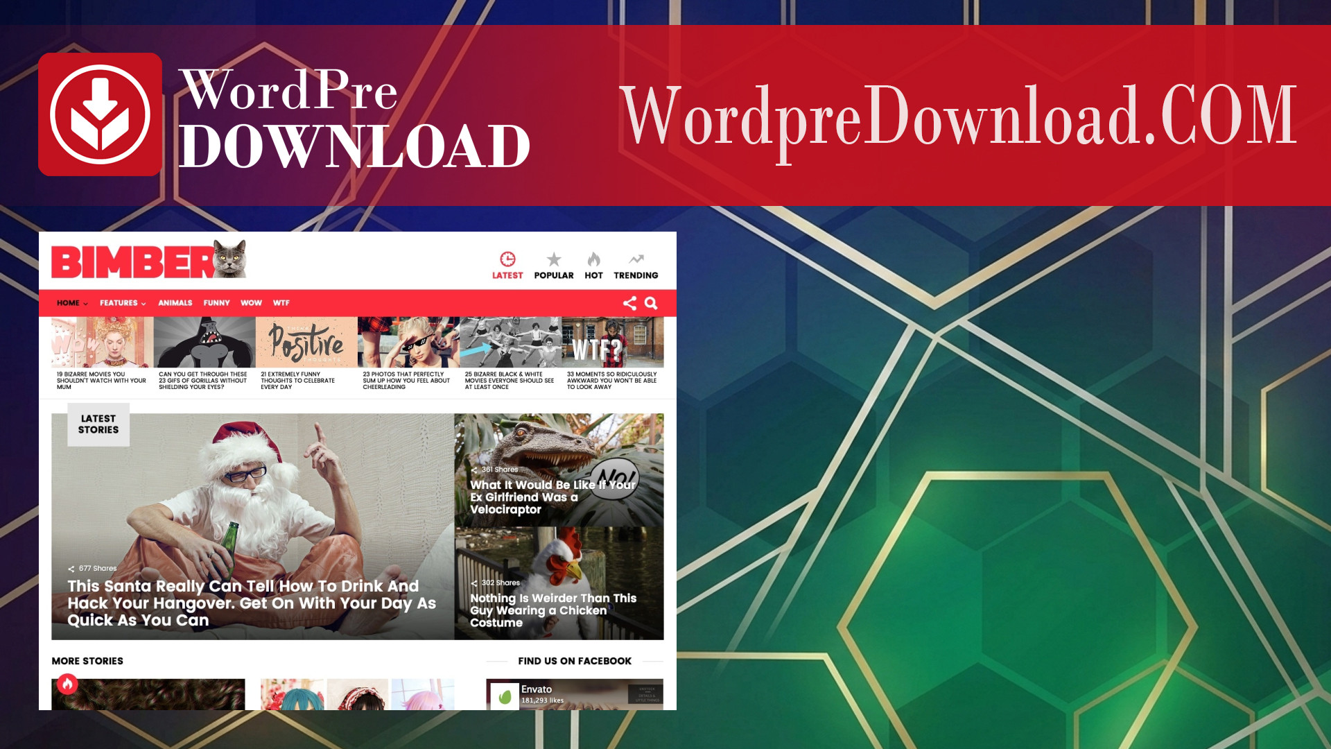 Bimber WordPress Theme – WordpreDownload.COM