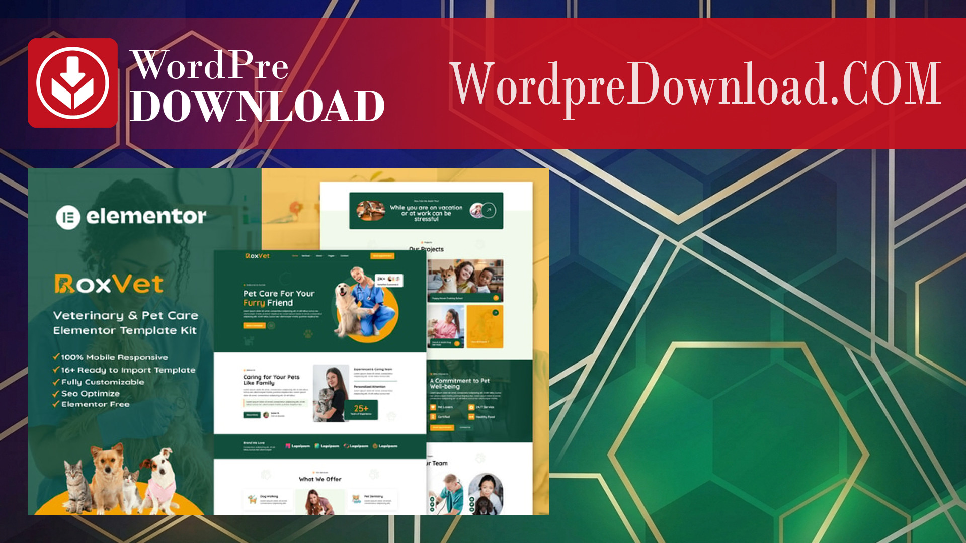 RoxVet – Veterinary and Pet Care Services Elementor Template Kit – WordpreDownload.COM