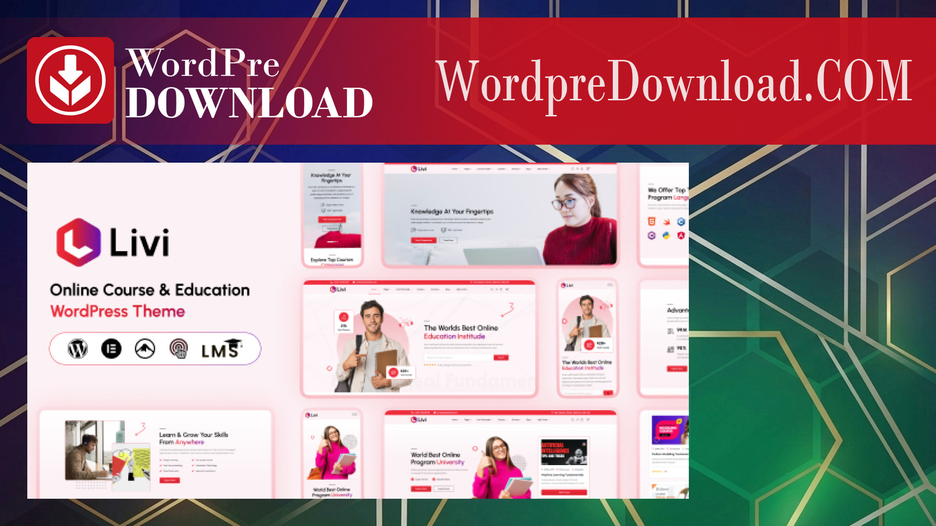 Livi – Education WordPress Theme – WordpreDownload.COM