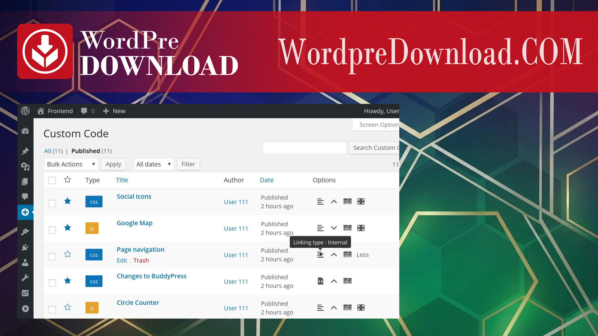 Simple Custom CSS and JS PRO – WordpreDownload.COM