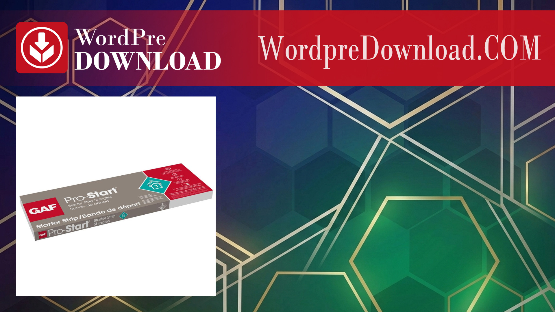 Starter Pro – WordpreDownload.COM