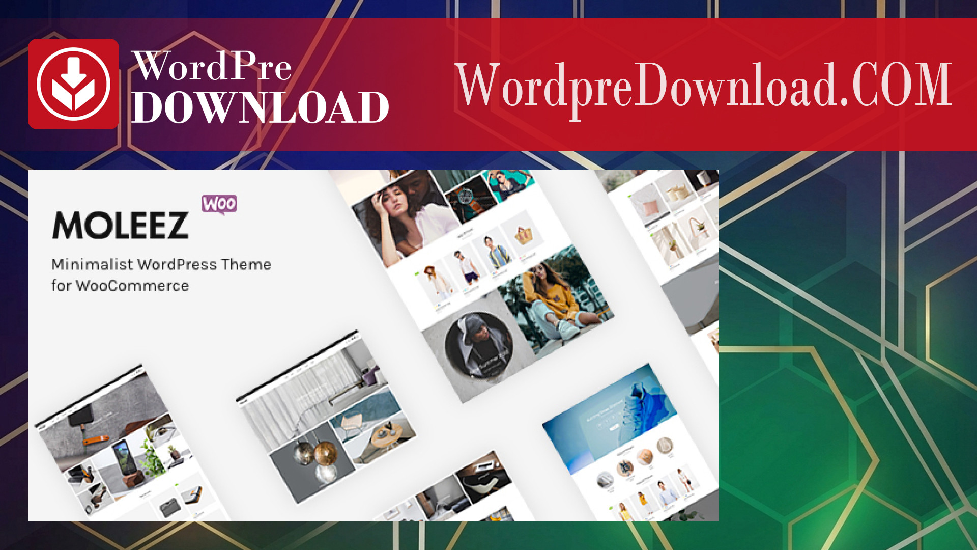 Moleez – Minimalist WordPress Theme for WooCommerce – WordpreDownload.COM