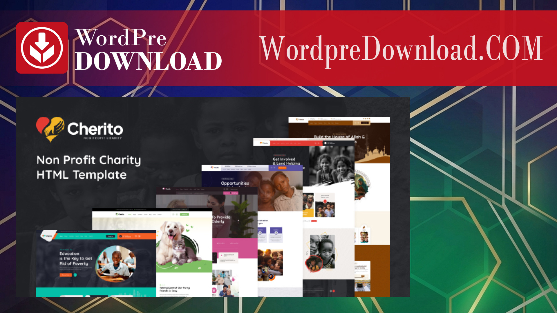 Cherito – Non Profit Charity WordPress Theme – WordpreDownload.COM