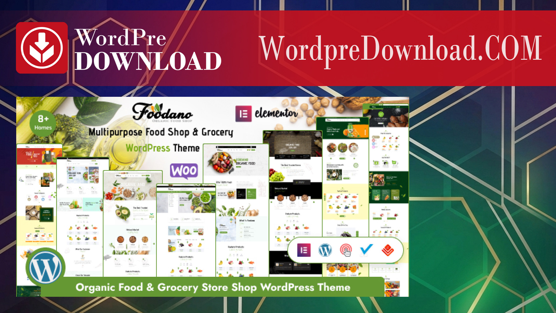 Foodano – Food Shop and Marketplace WordPress Theme – WordpreDownload.COM