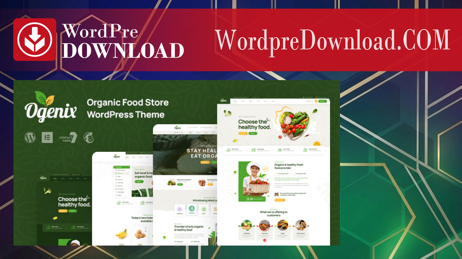 Ogenix - Organic Food Store WordPress Theme - WordpreDownload.COM