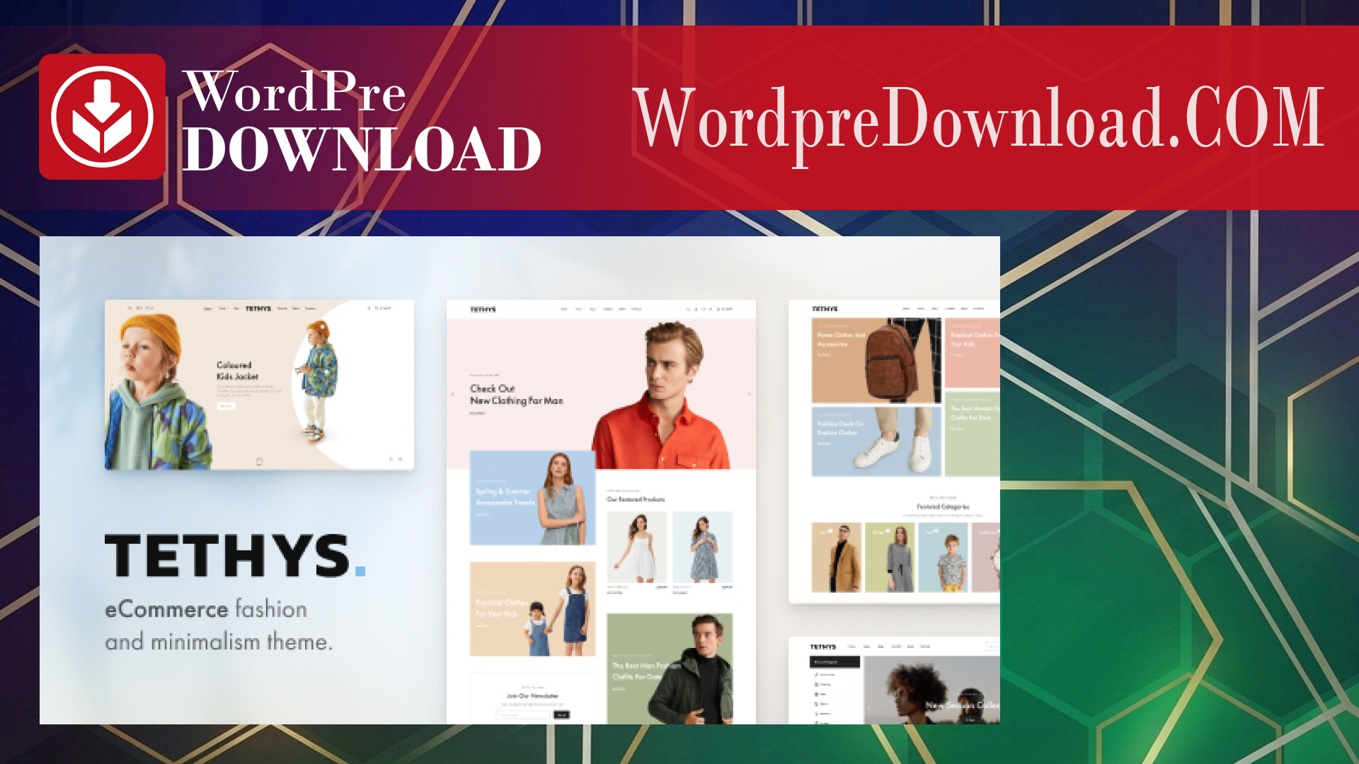 Tethys – Fashion and Minimalism Theme – WordpreDownload.COM