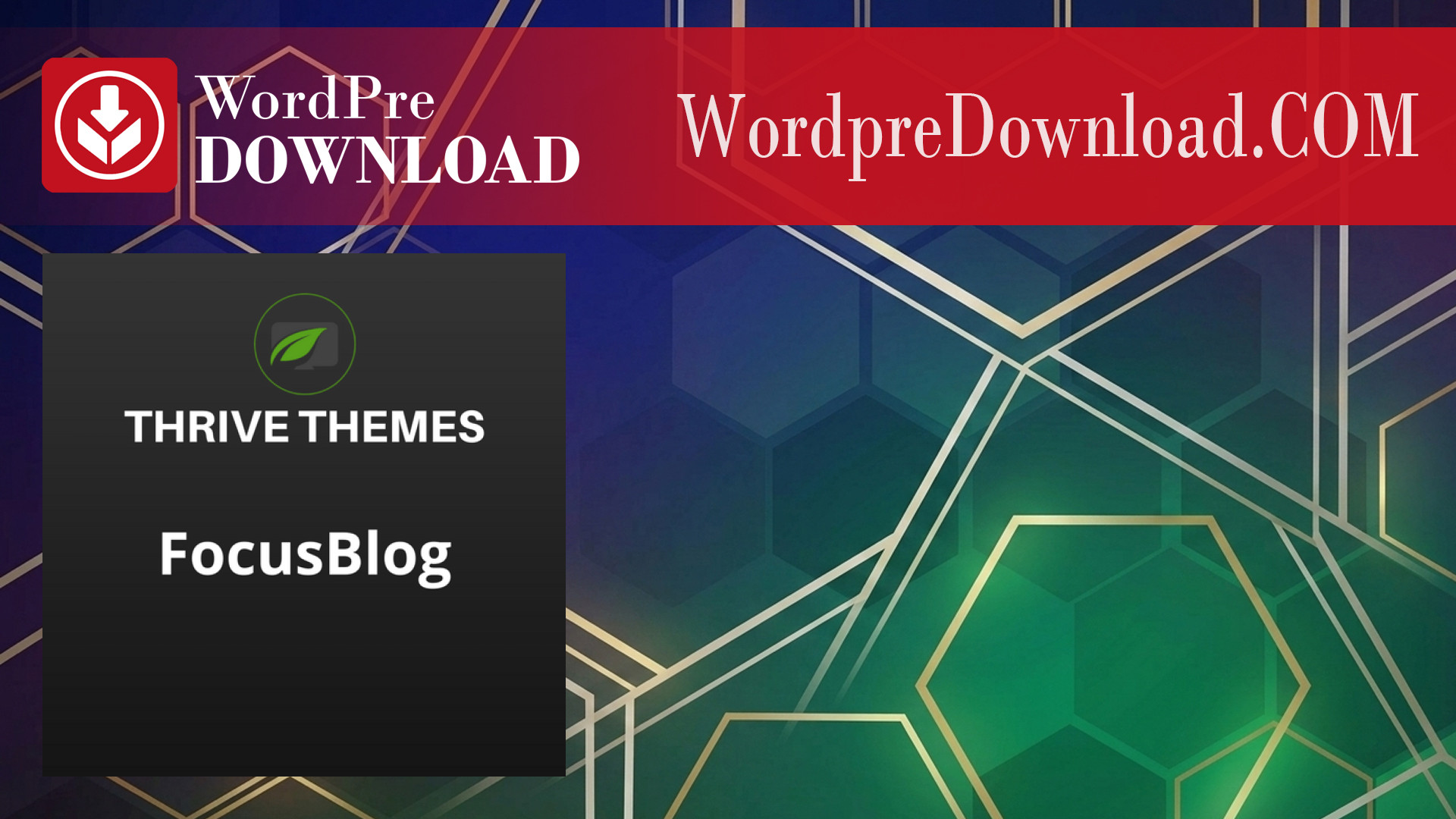 Thrive Themes Focusblog WordPress Theme - WordpreDownload.COM