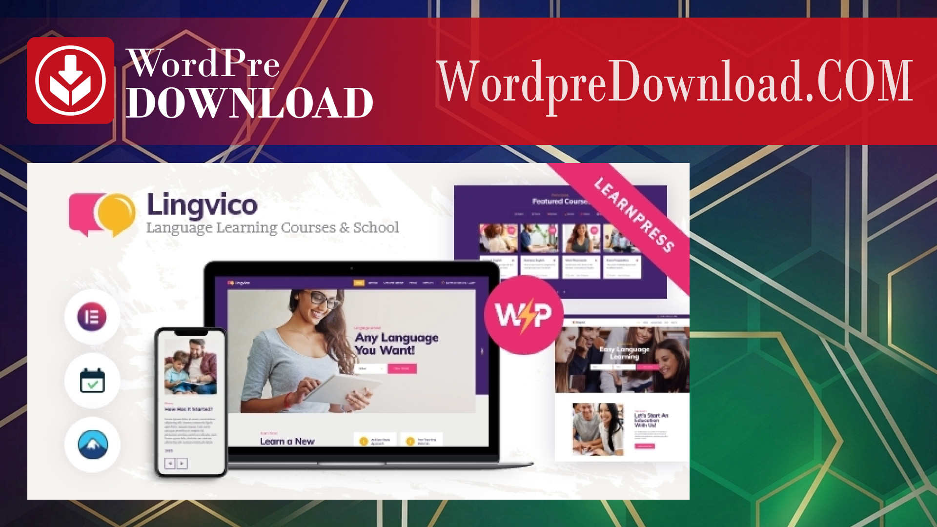 Lingvico Language Center And Training Courses Theme - WordpreDownload.COM