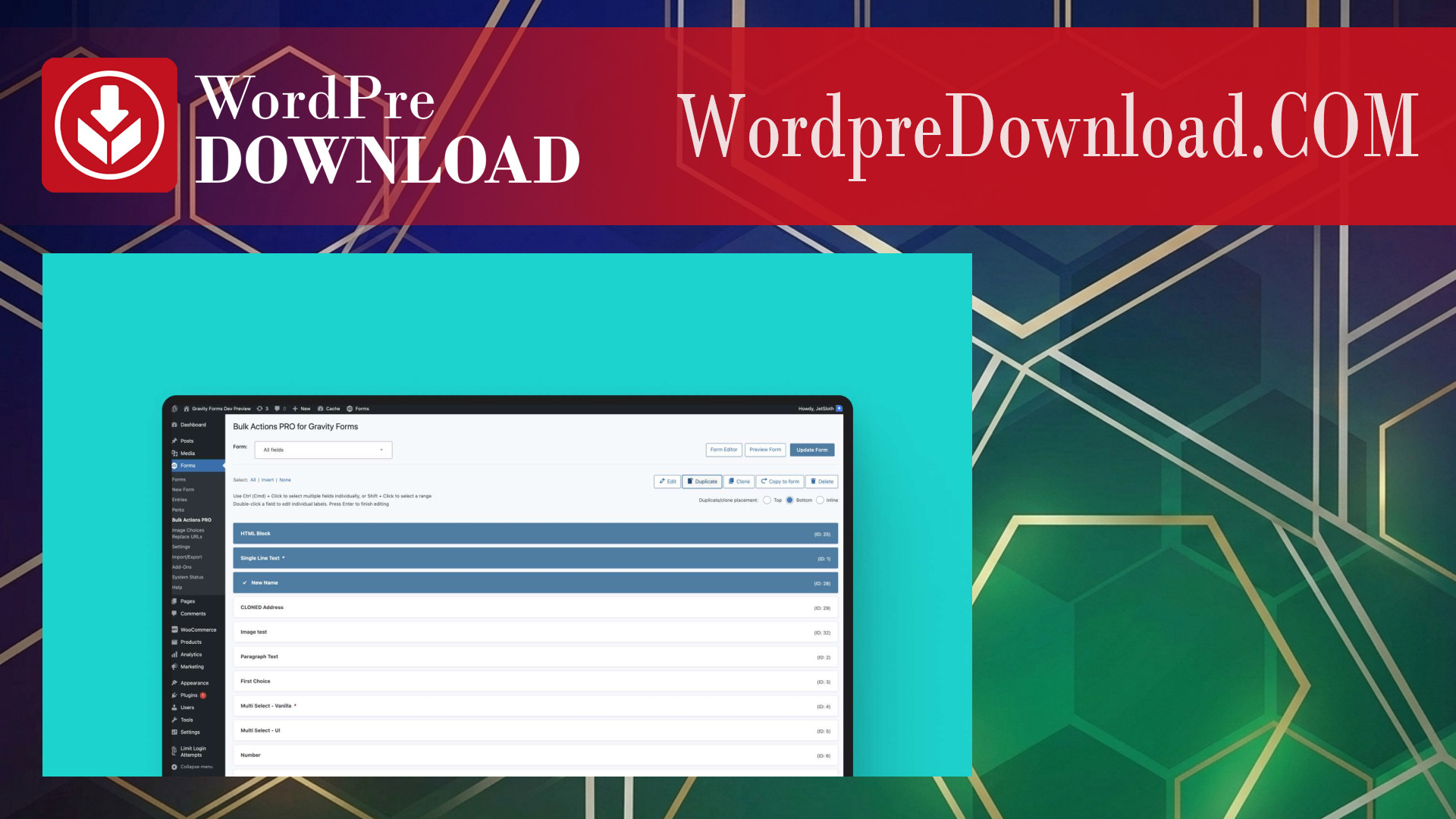 Jetsloth – Gravity Forms Bulk Add Fields - WordpreDownload.COM