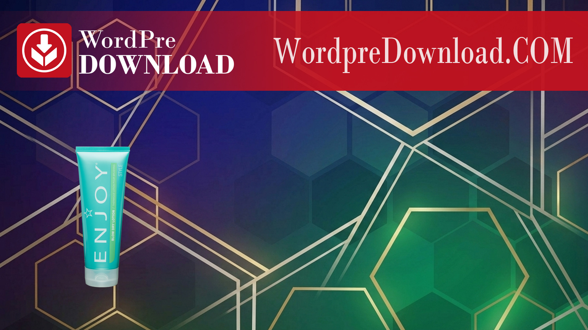 EnjoyStyle Pro - WordpreDownload.COM